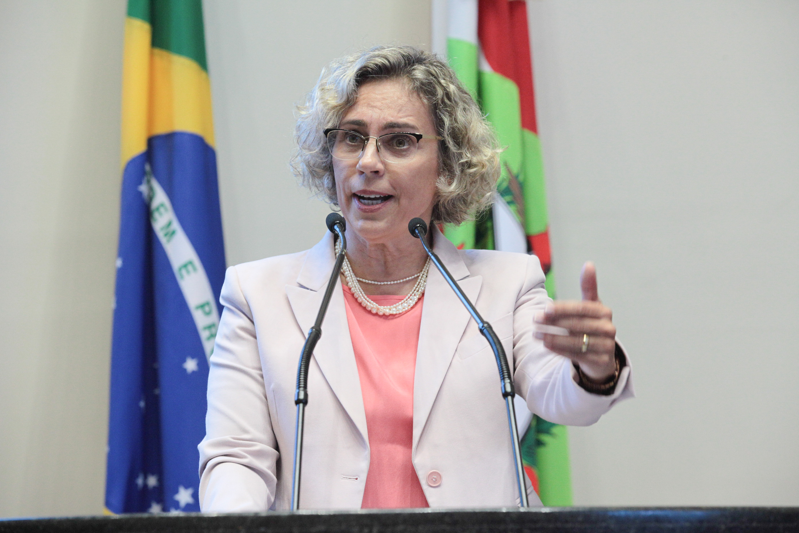Sessão ordinária. Deputada Ana Paula Lima (PT).