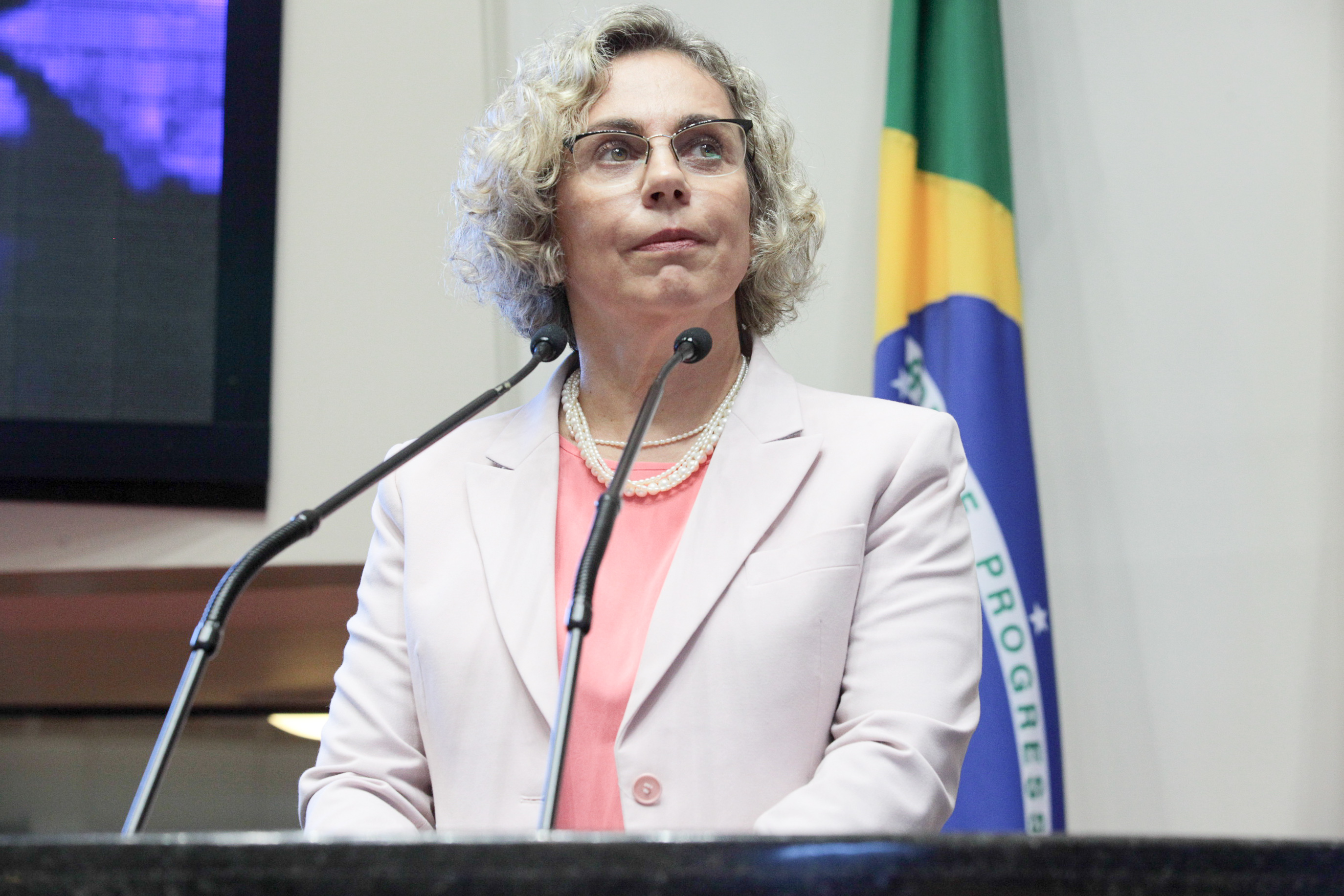 Sessão ordinária. Deputada Ana Paula Lima (PT).