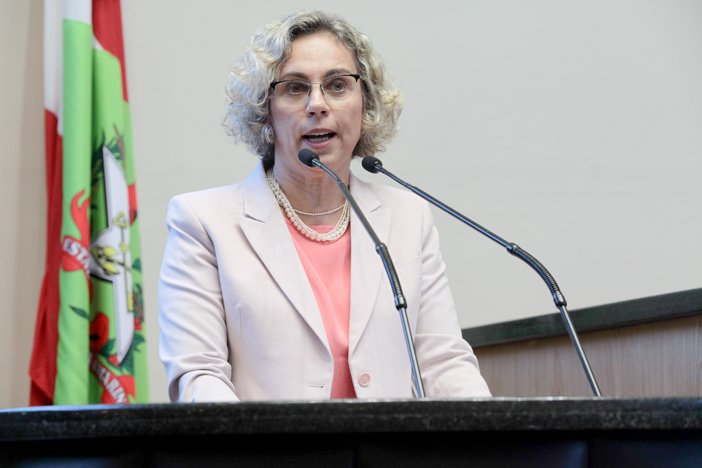 Sessão ordinária. Deputada Ana Paula Lima (PT).