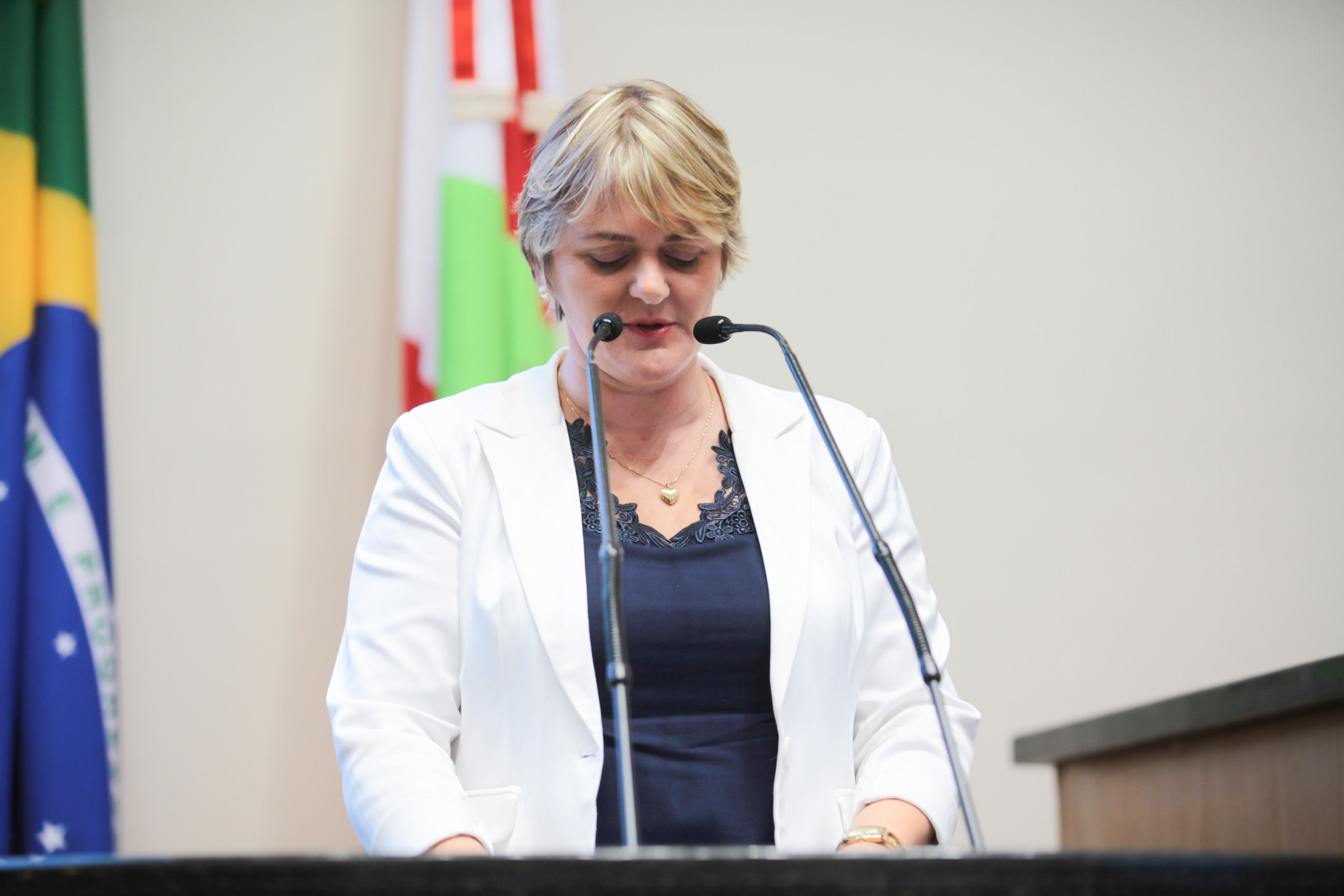 Sessão Ordinária. Deputada Luciane Carminatti (PT).