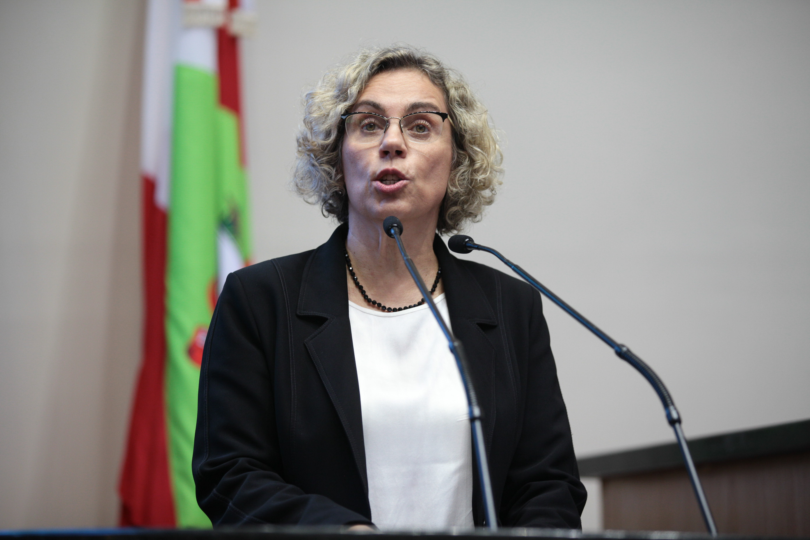 Sessão Ordinária. Deputada Ana Paula Lima (PT).