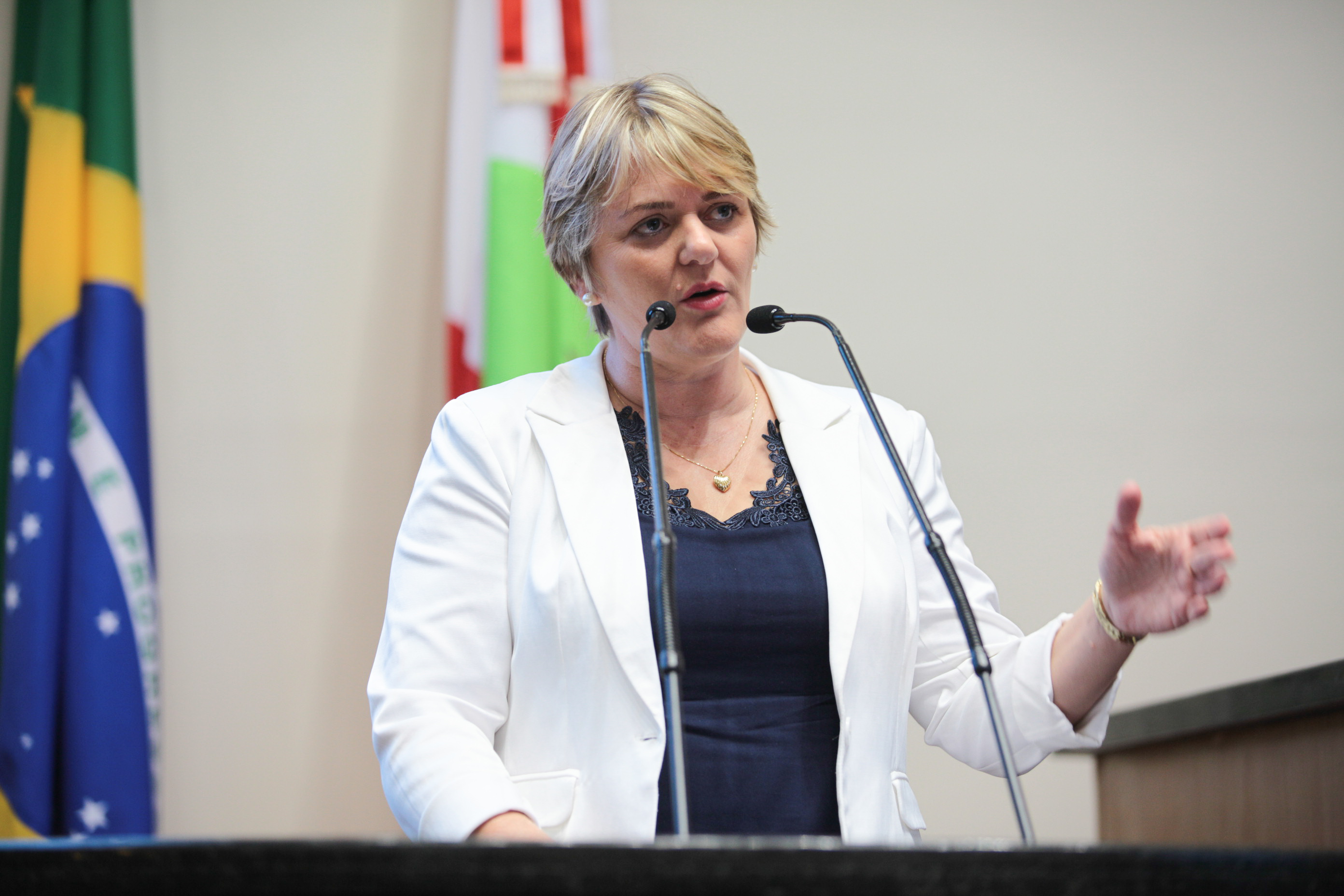 Sessão Ordinária. Deputada Luciane Carminatti (PT).