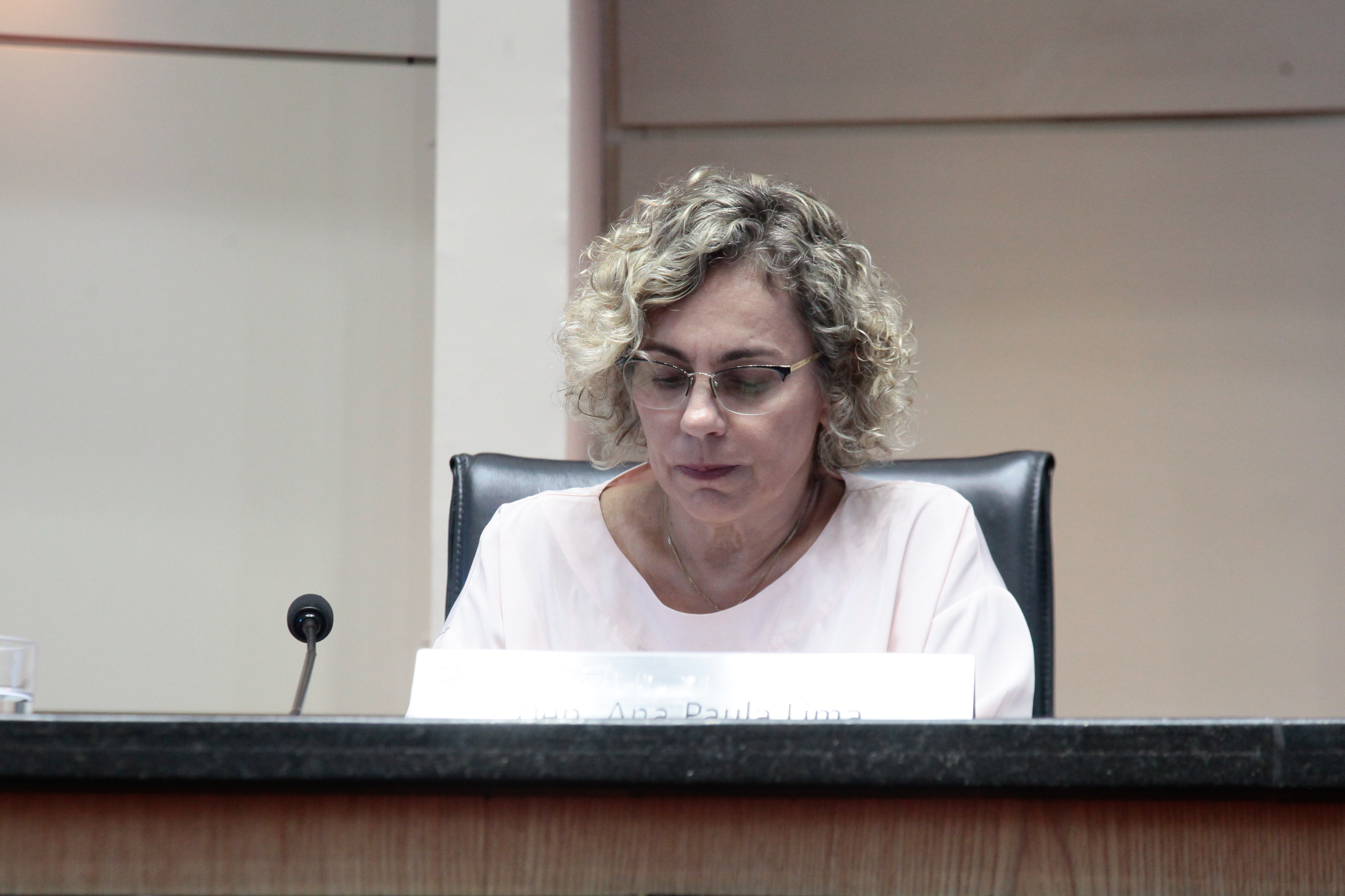 Sessão Ordinária. Deputada Ana Paula Lima (PT).