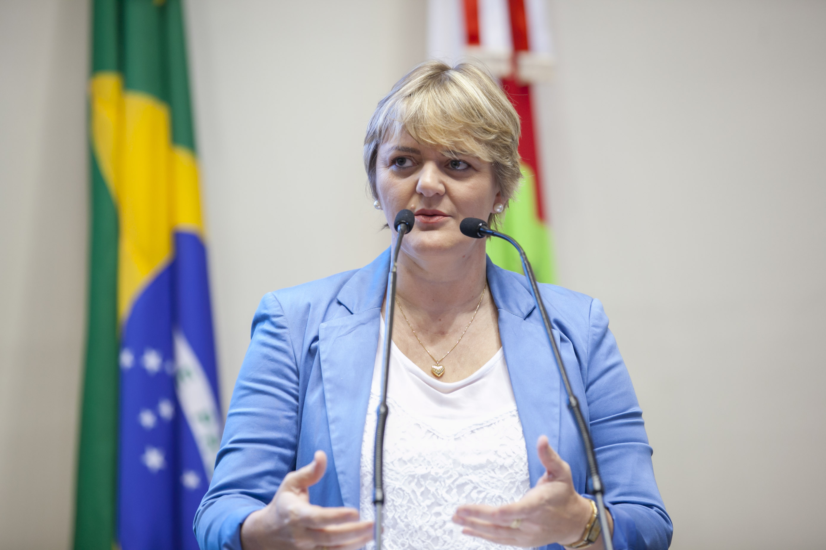 Deputada Luciane Carminatti (PT) - Sessão Ordinária