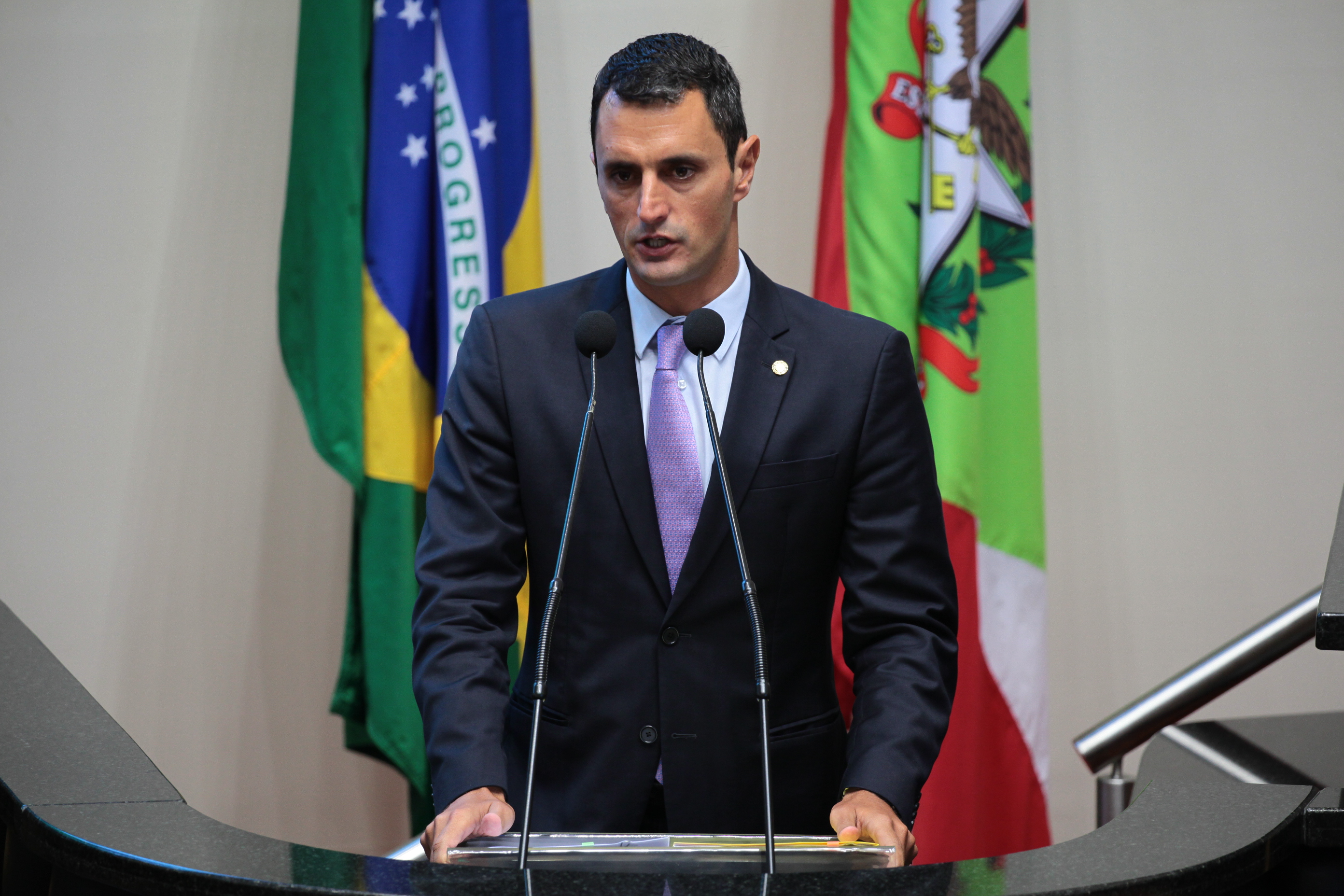 Sessão Ordinária. Deputado João Amin (PP)