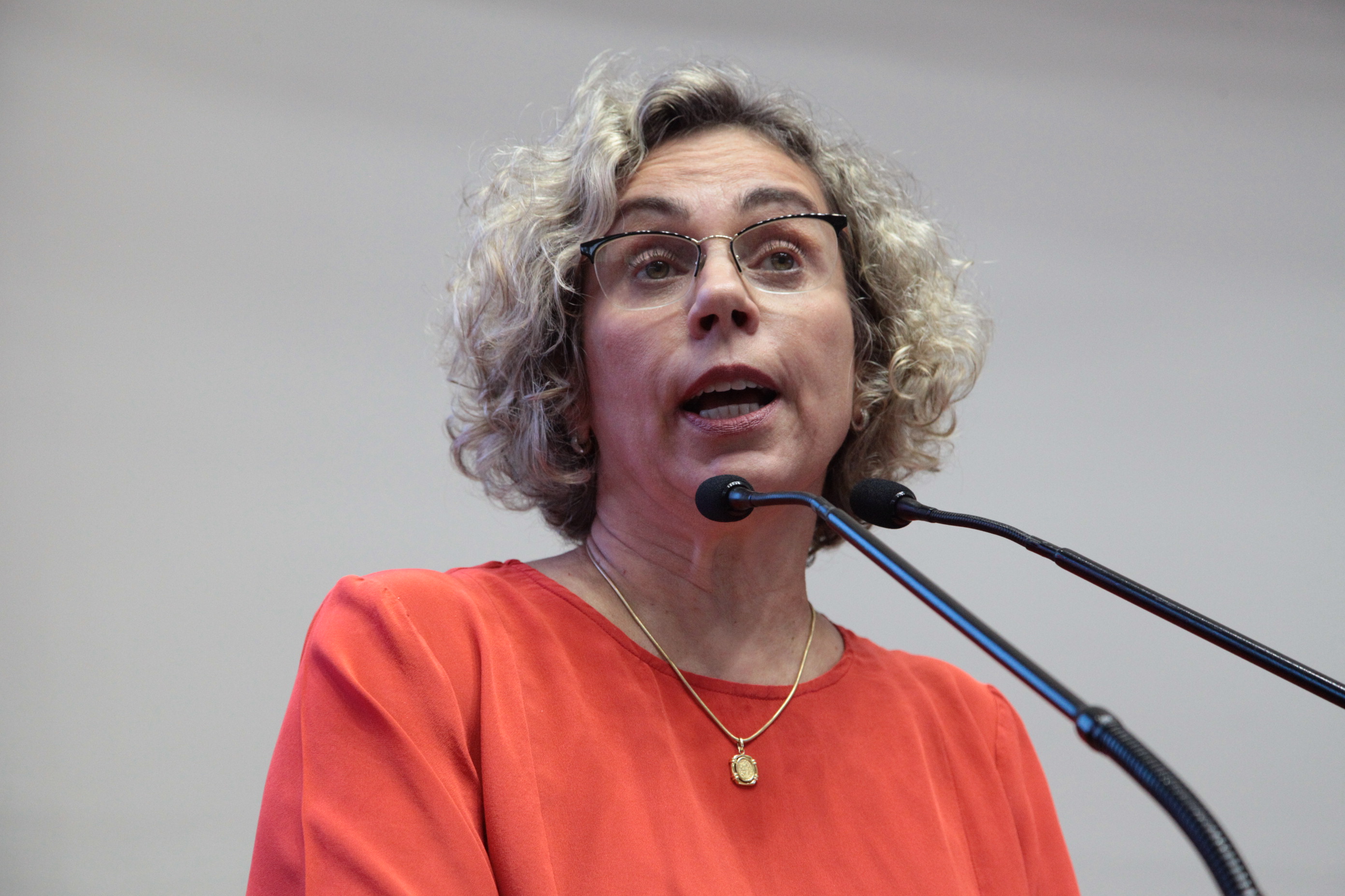 Sessão Plenária - Deputada Ana Paula Lima (PT)