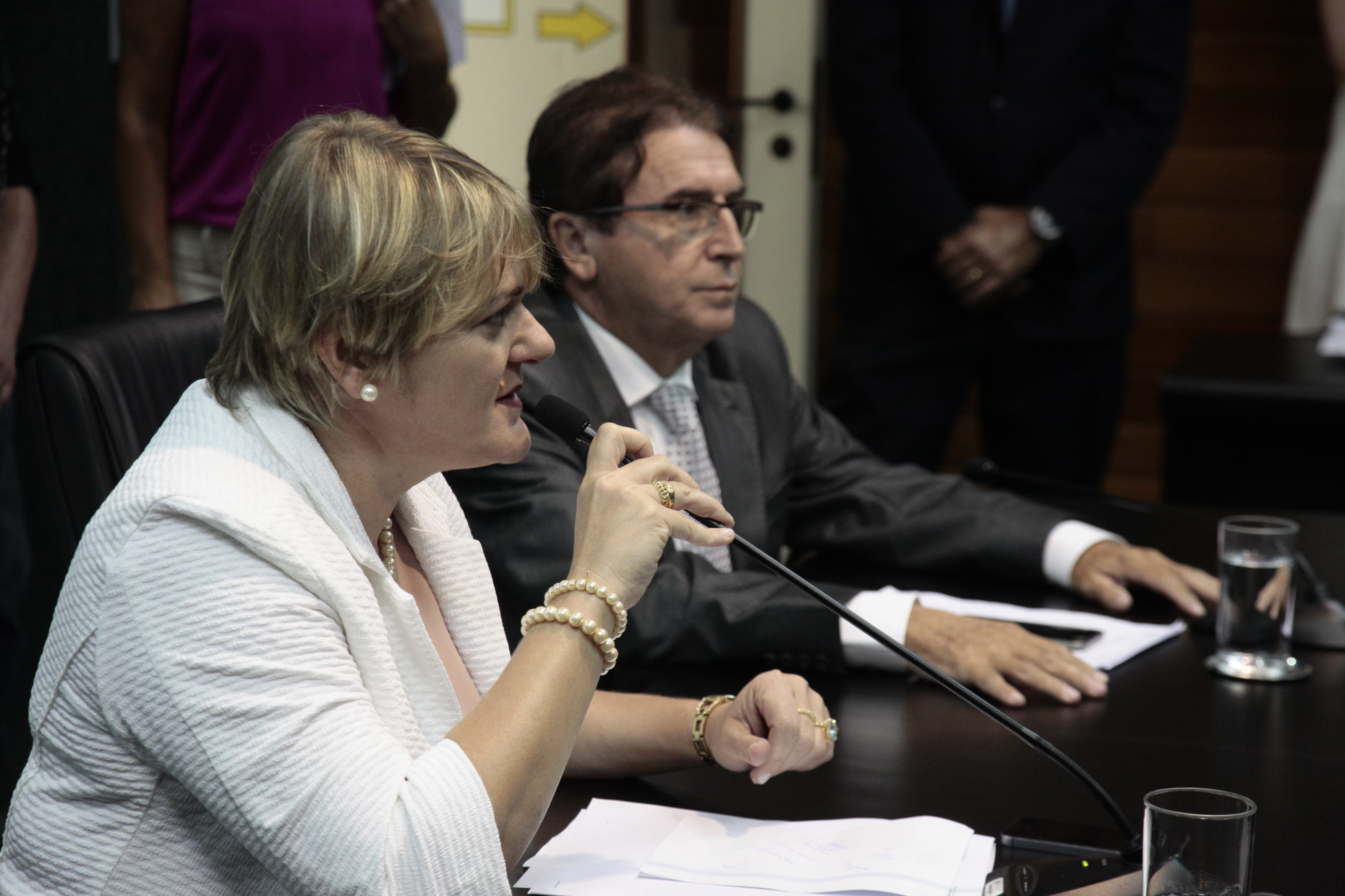 Instalação da Comissão de Educação.