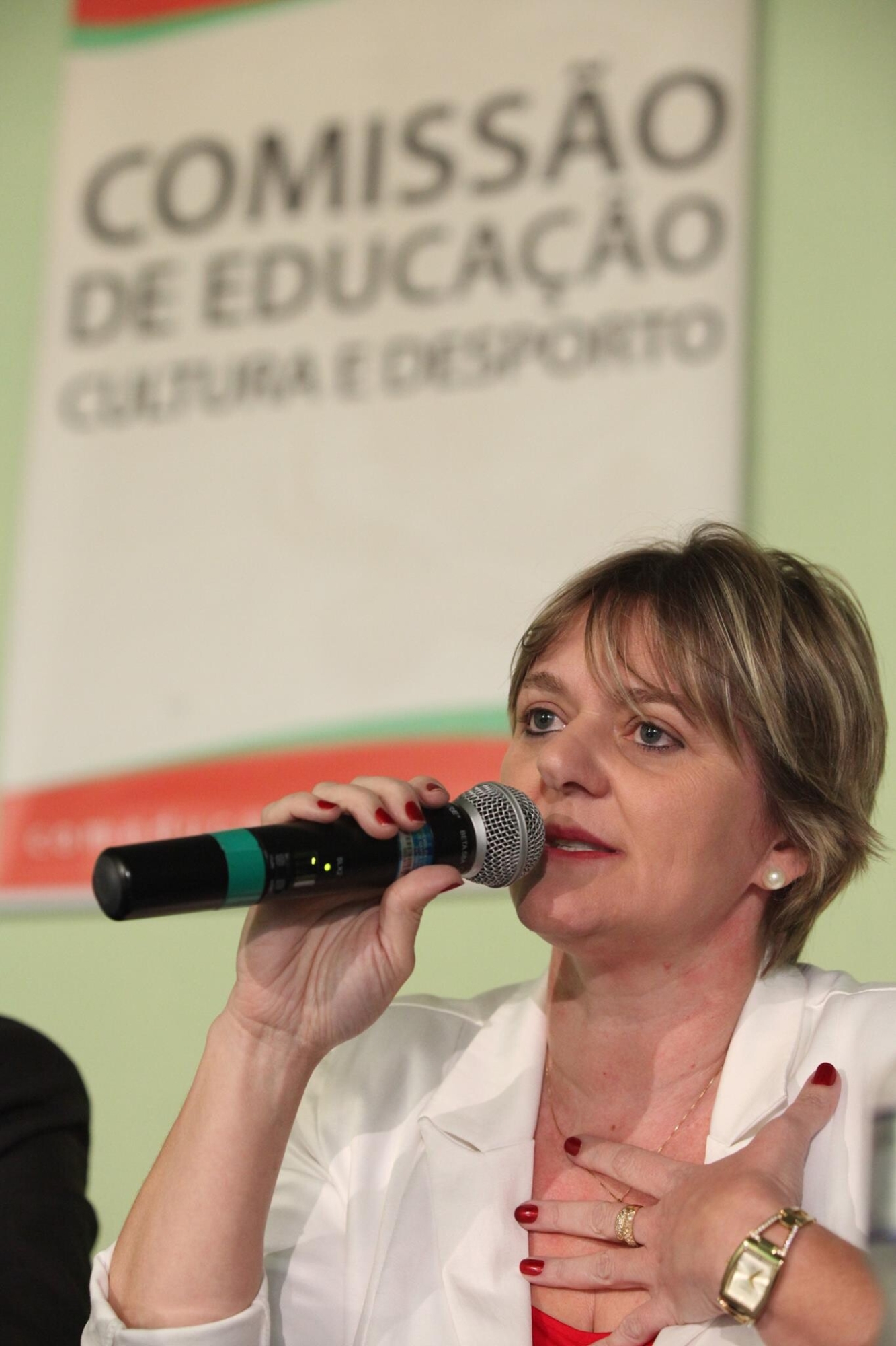 Deputada Luciane assume presidência da Comissão de Educação, Cultura e Desporto da Alesc
