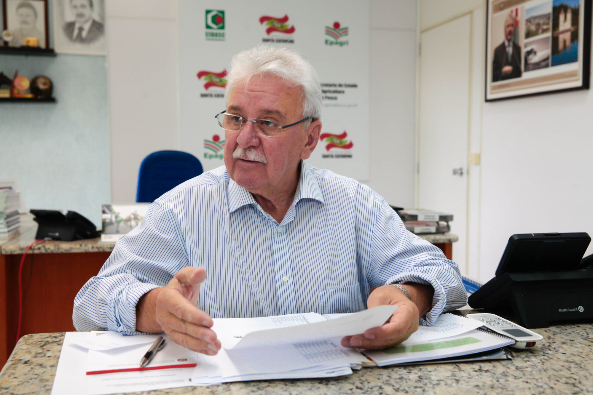 Conjugação de fatores embala exportações de aves e suínos de SC