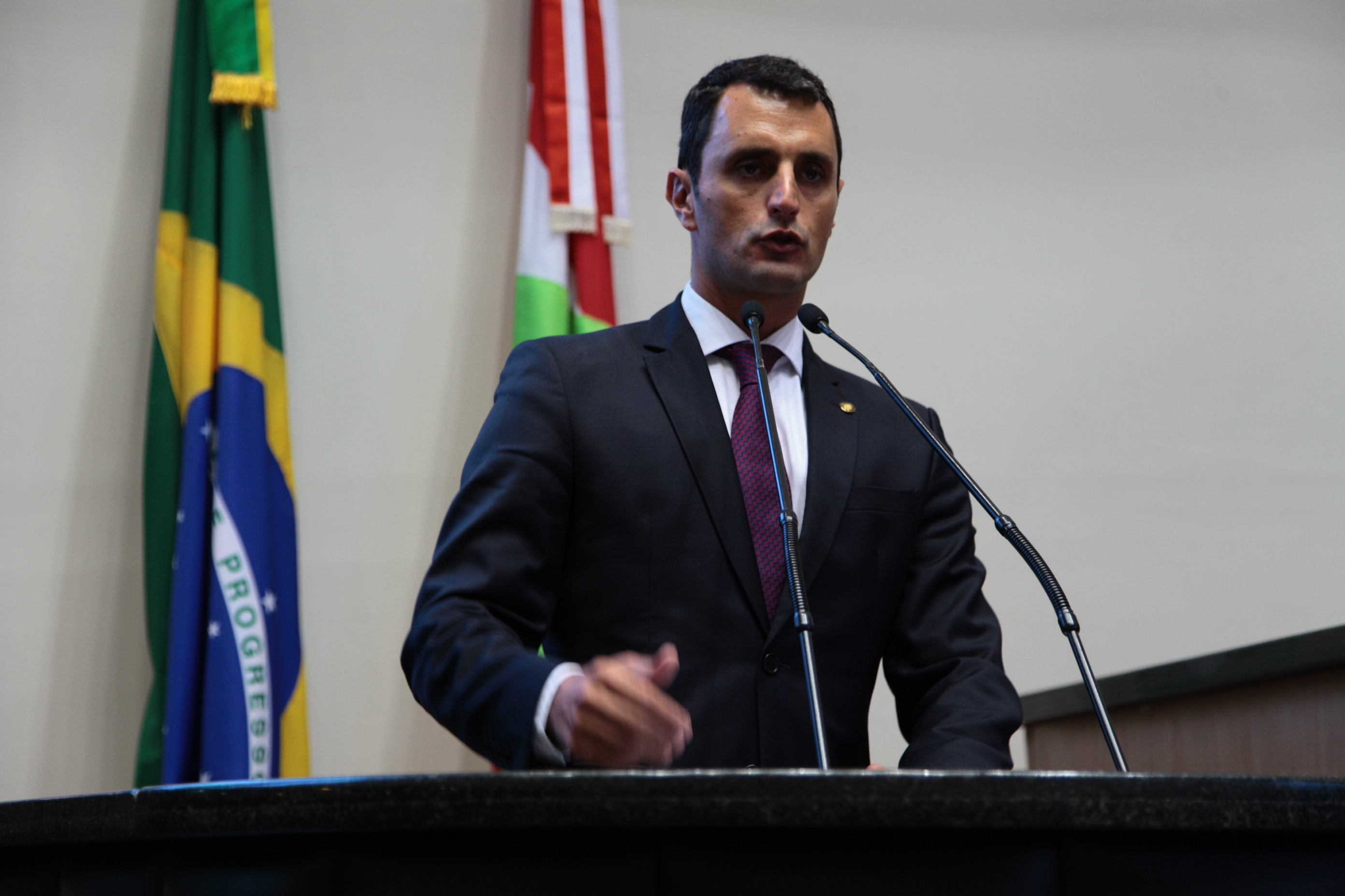 Sessão Ordinária. Deputado João Amin (PP).