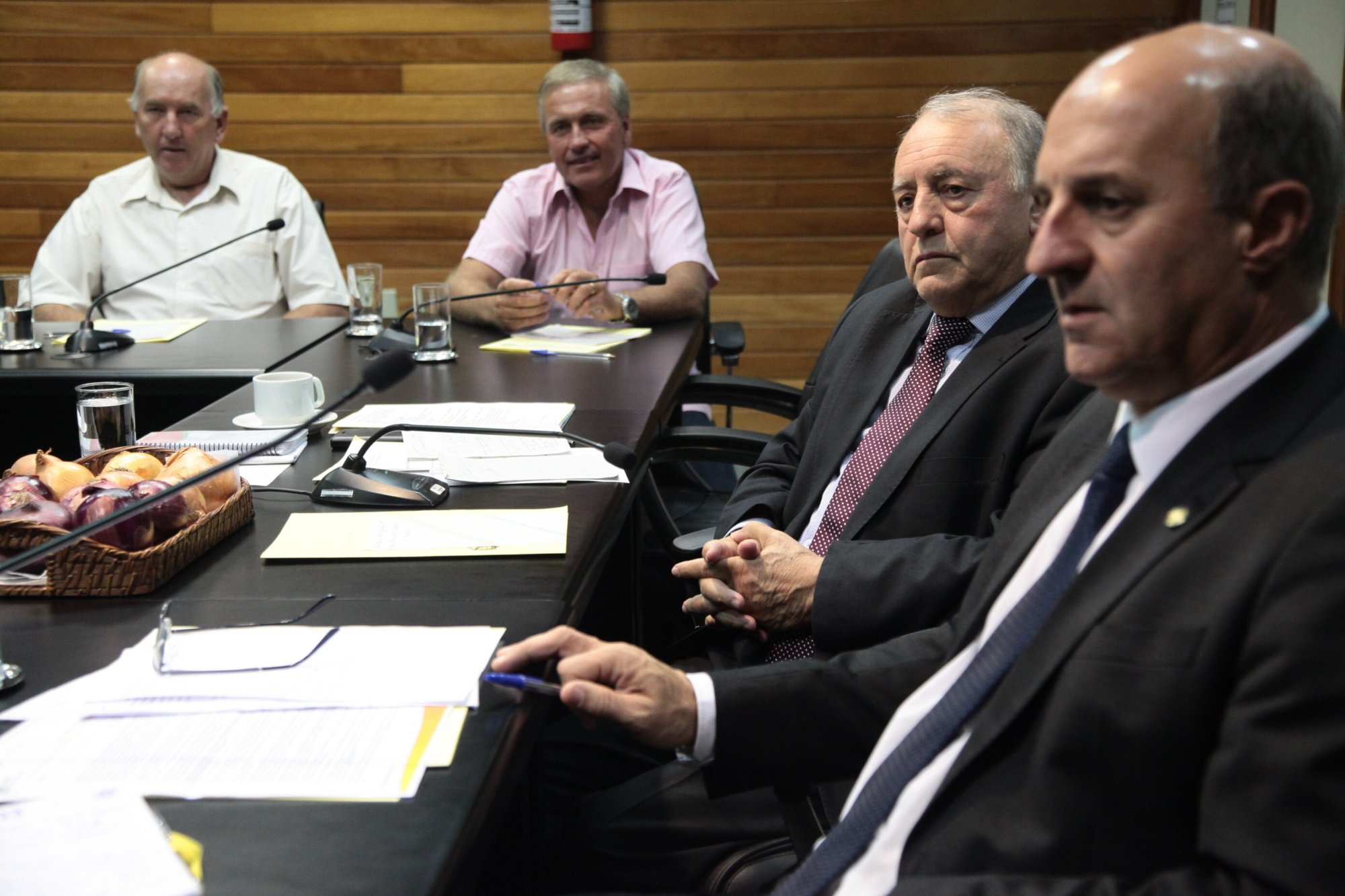 Comissão de Agricultura debate crise da cebola em SC