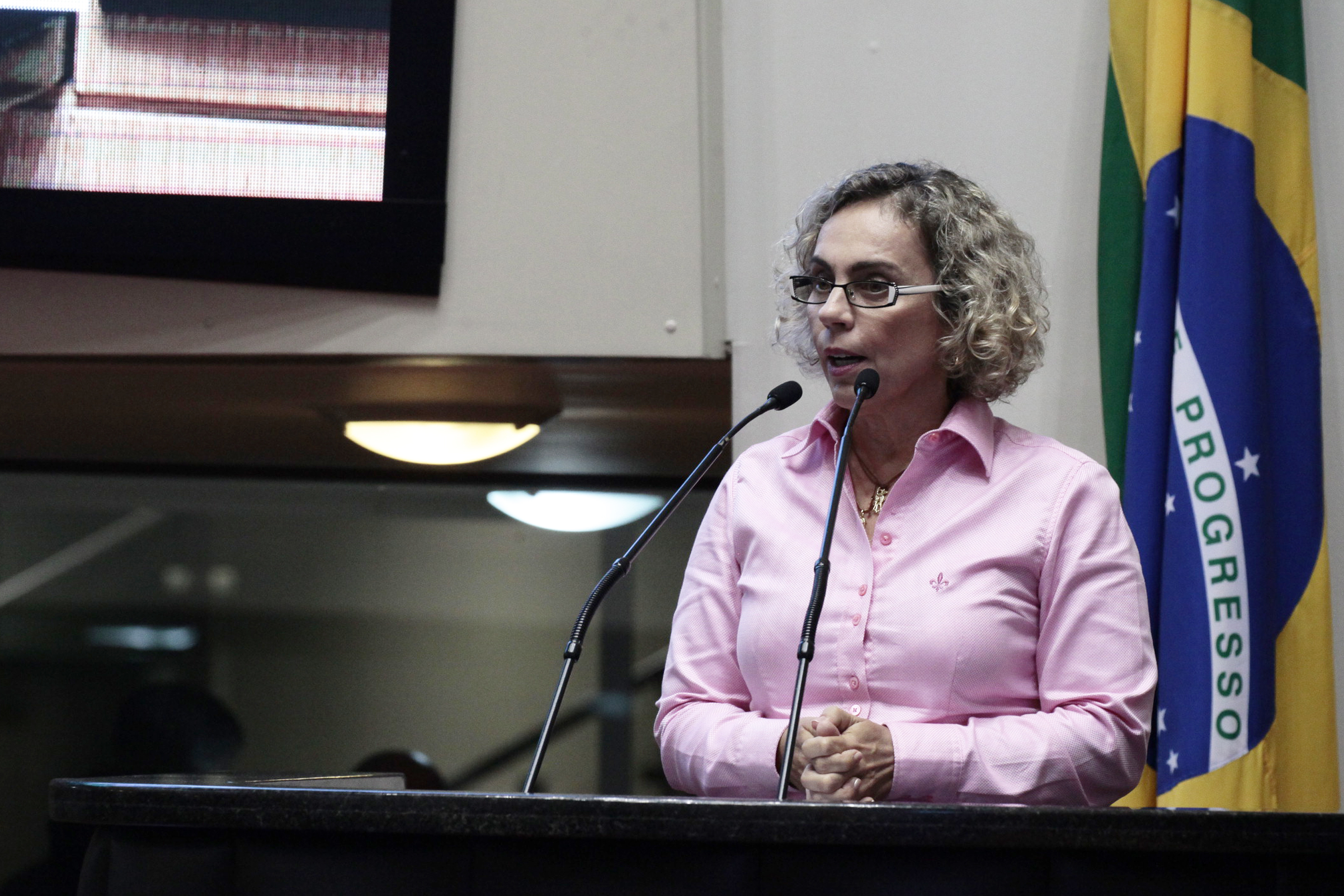 Deputada Ana Paula Lima (PT). Sessão Ordinária.