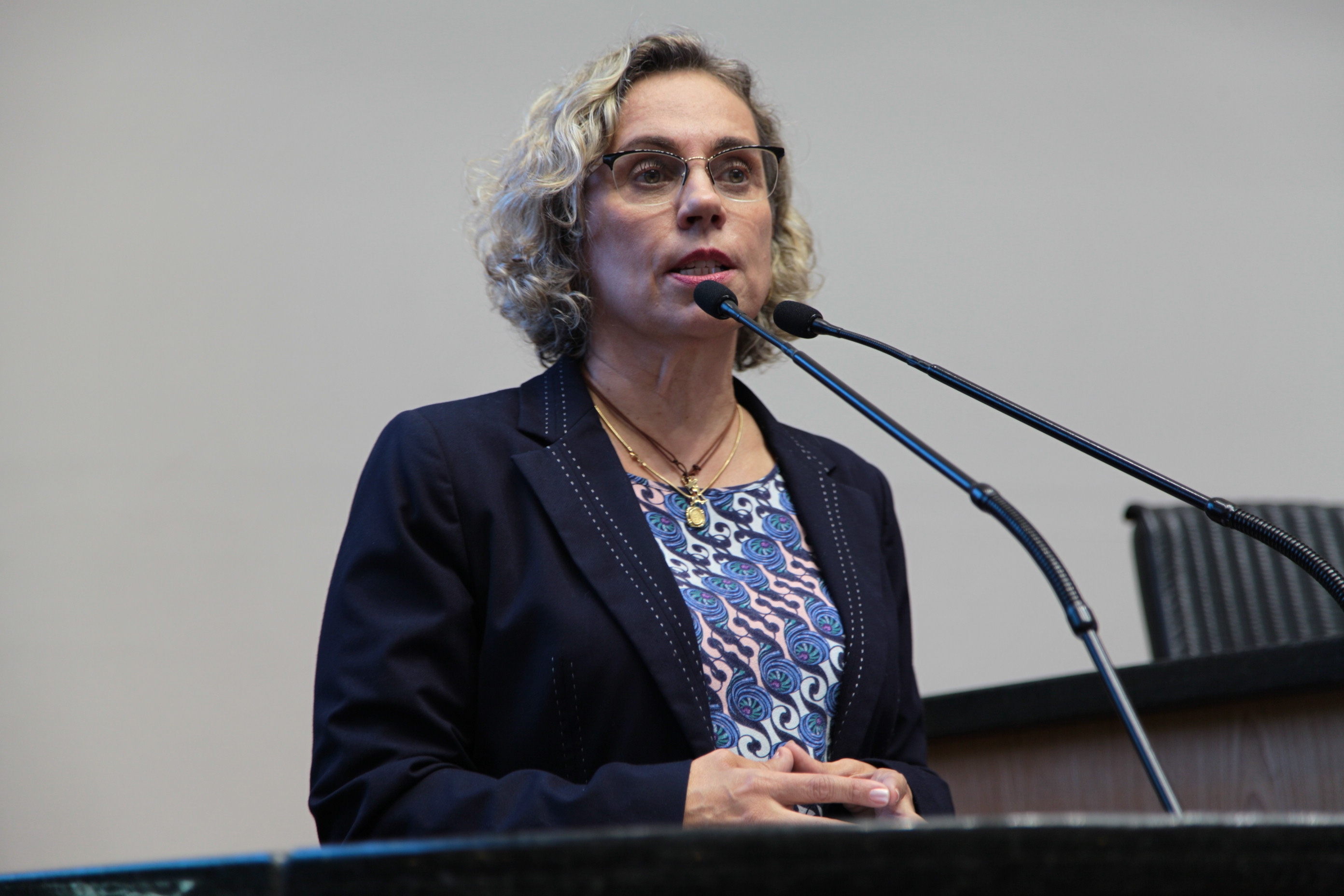 Sessão Plenária - Deputada Ana Paula Lima (PT)