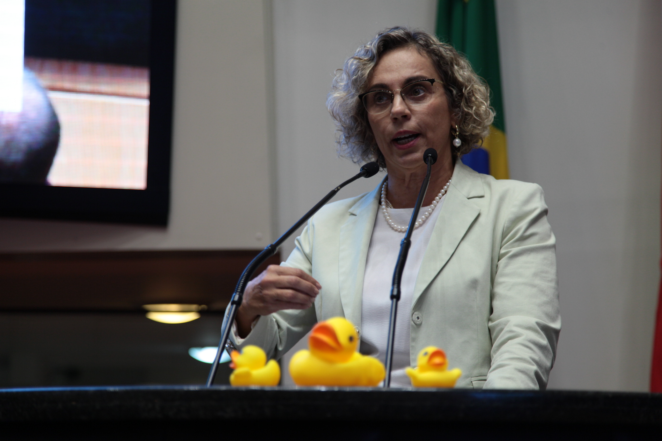 Sessão Ordinária - Deputada Ana Paula Lima (PT)