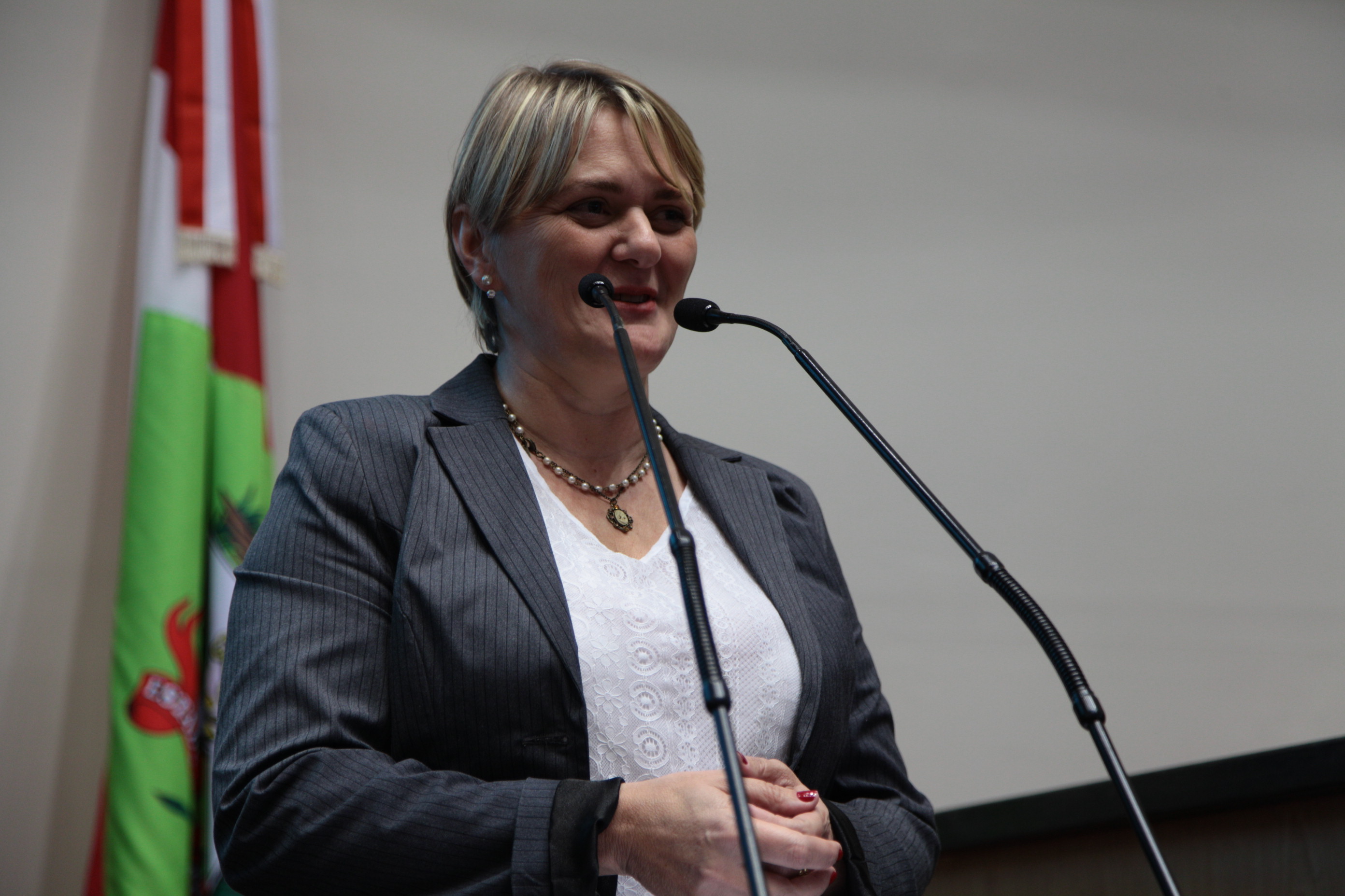 Sessão Plenária - Deputada Luciane Carminatti (PT)