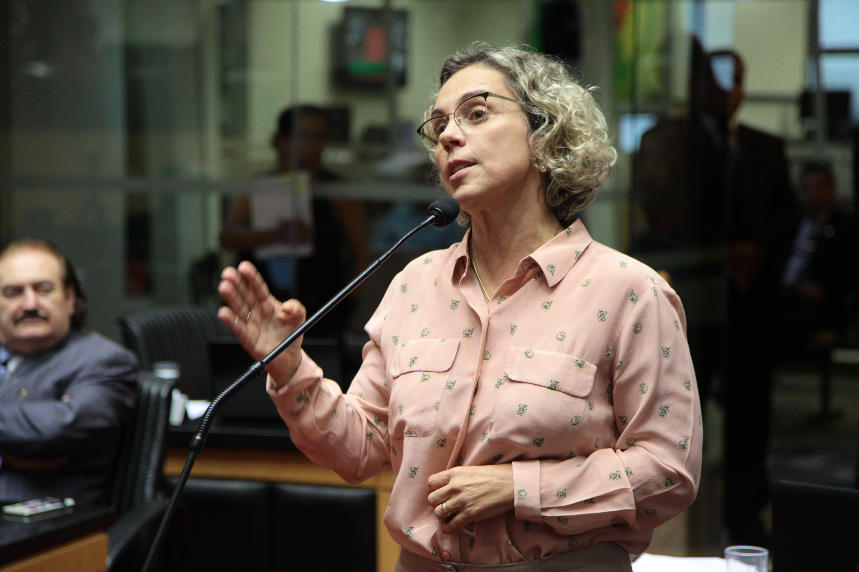 Sessão Ordinária - Deputada Ana Paula Lima (PT)