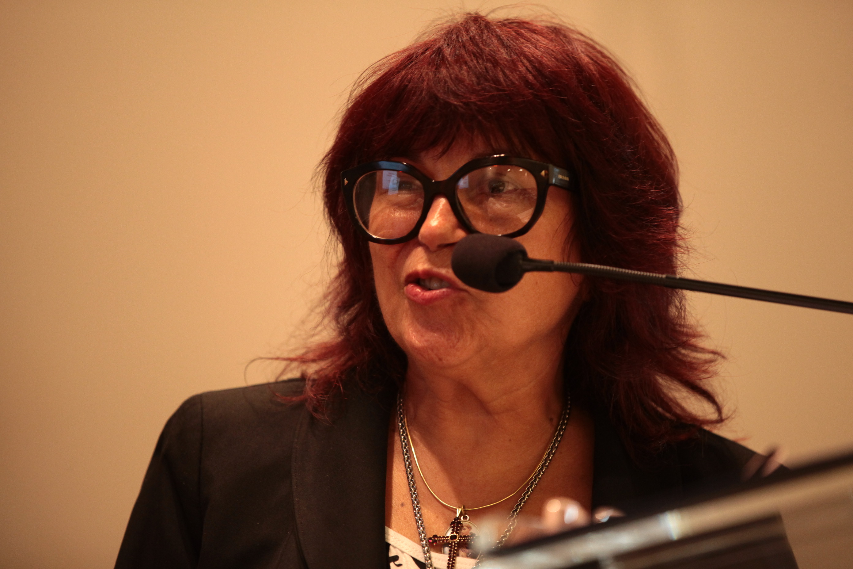 Seminário Internacional - Programa Reviver
