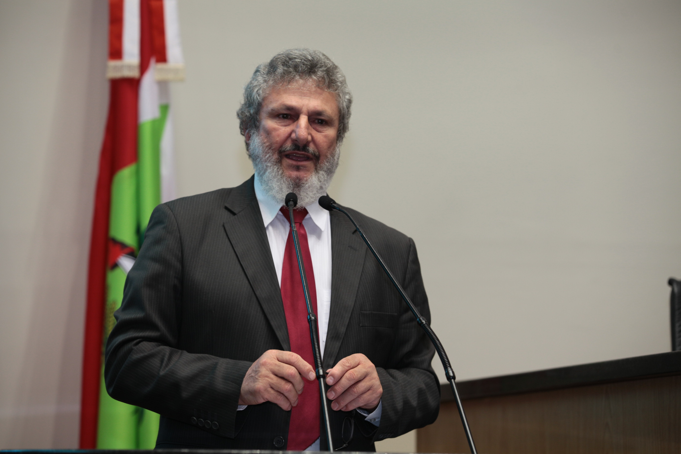 Sessão Plenária - Deputado Padre Pedro Baldisera (PT)