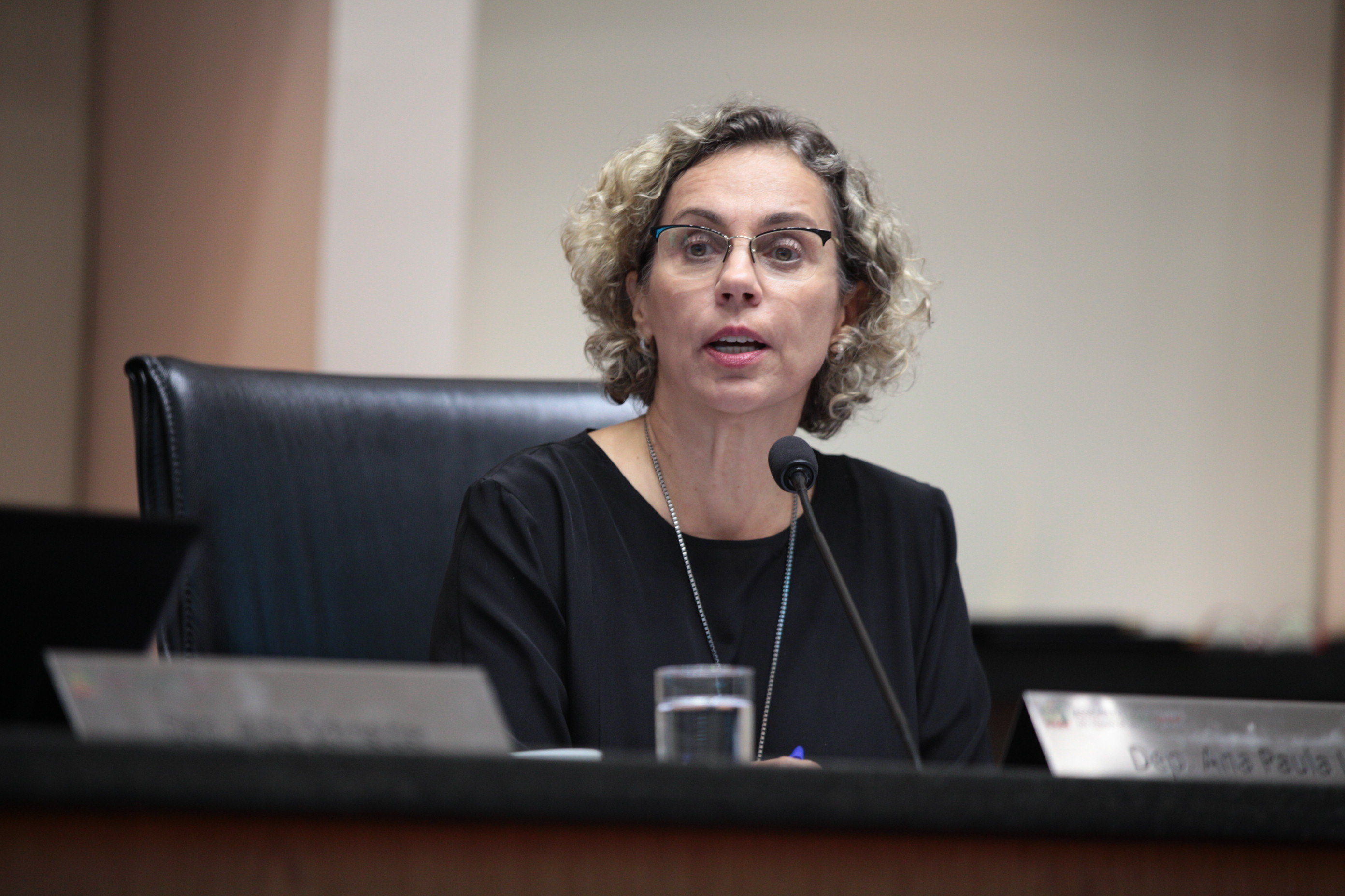 Sessão Plenária - Deputada Ana Paula Lima (PT)