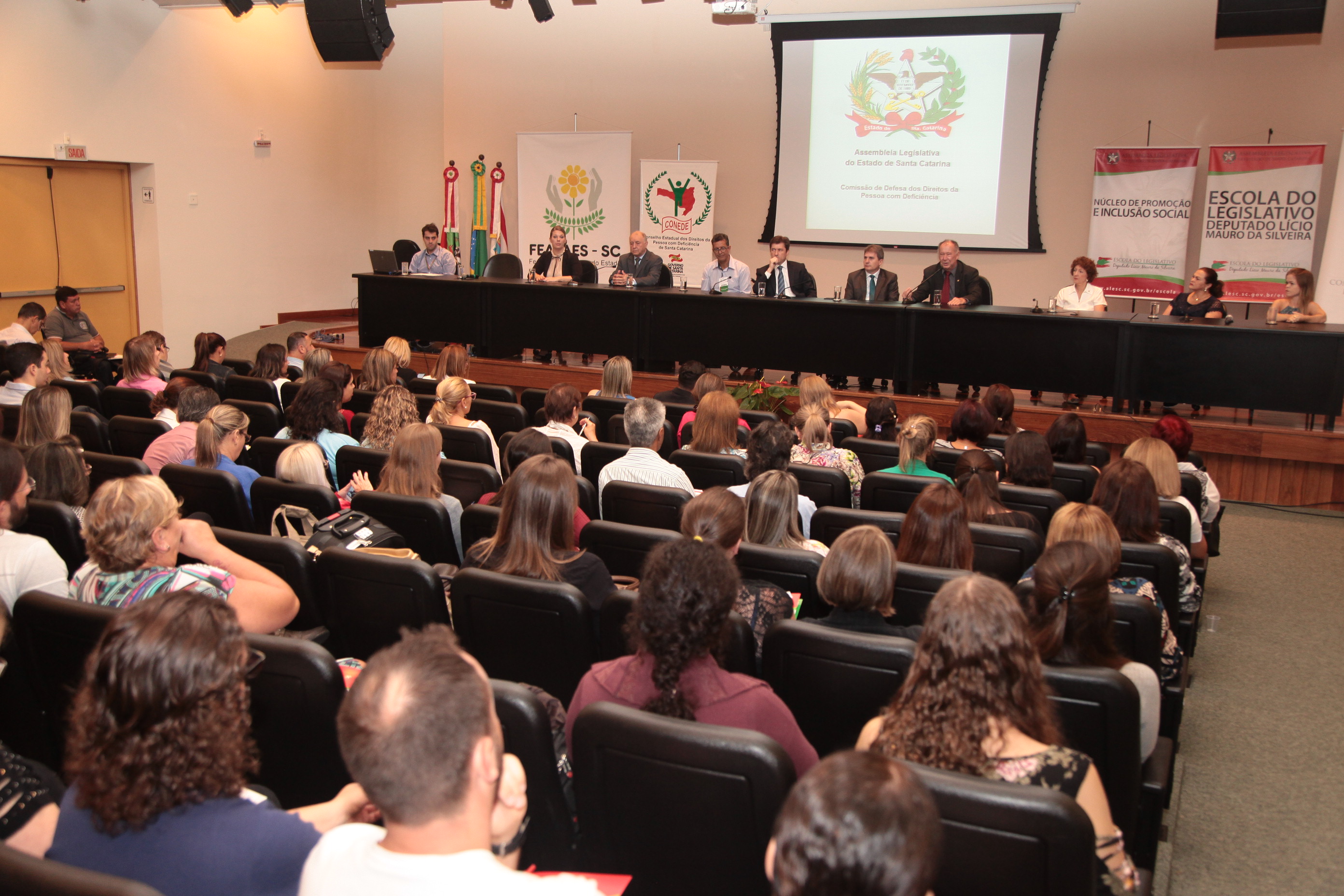 Seminário Captação de Recursos - Comissão de Defesa dos Direitos da Pessoa com Deficiência.