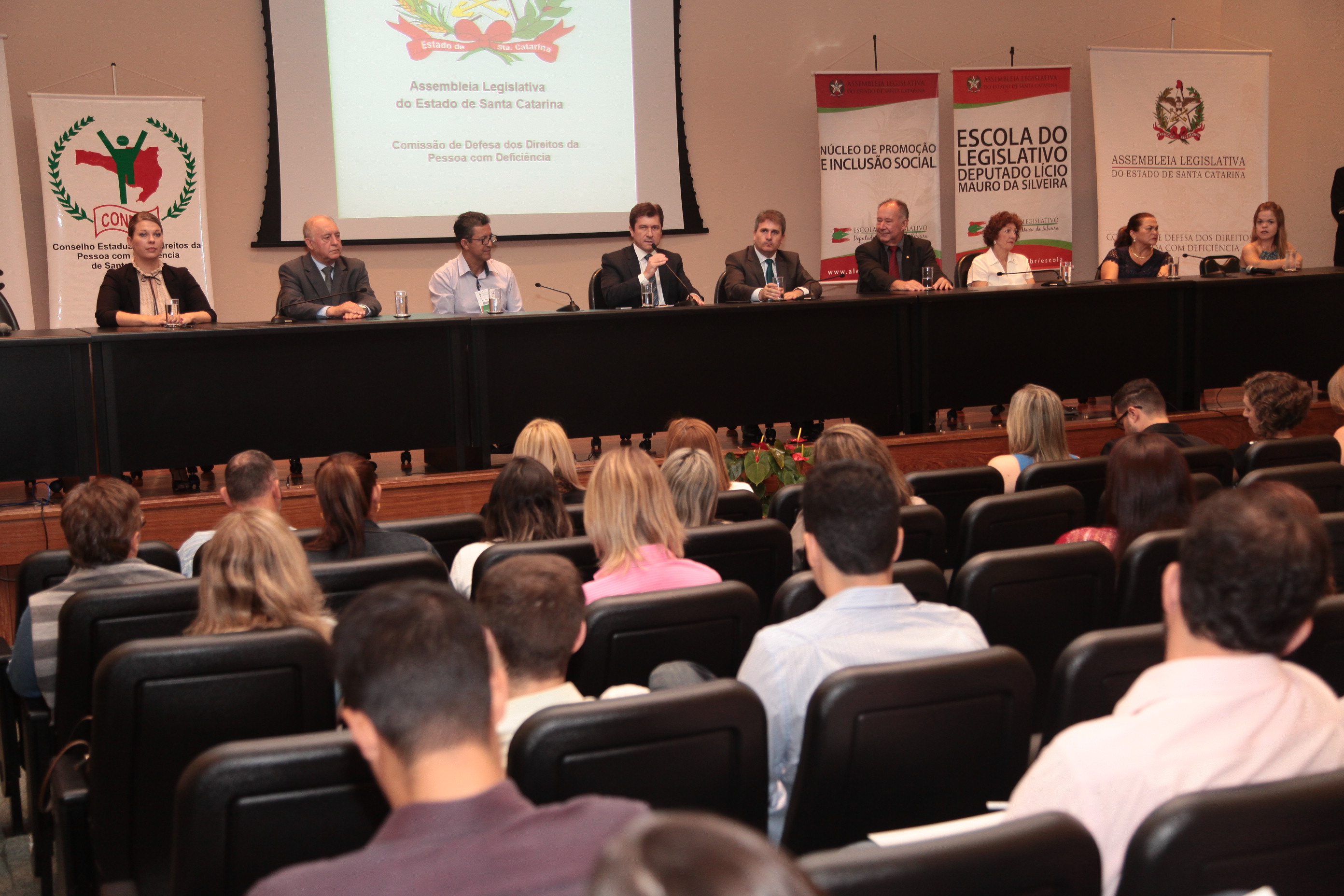 Seminário Captação de Recursos - Comissão de Defesa dos Direitos da Pessoa com Deficiência.