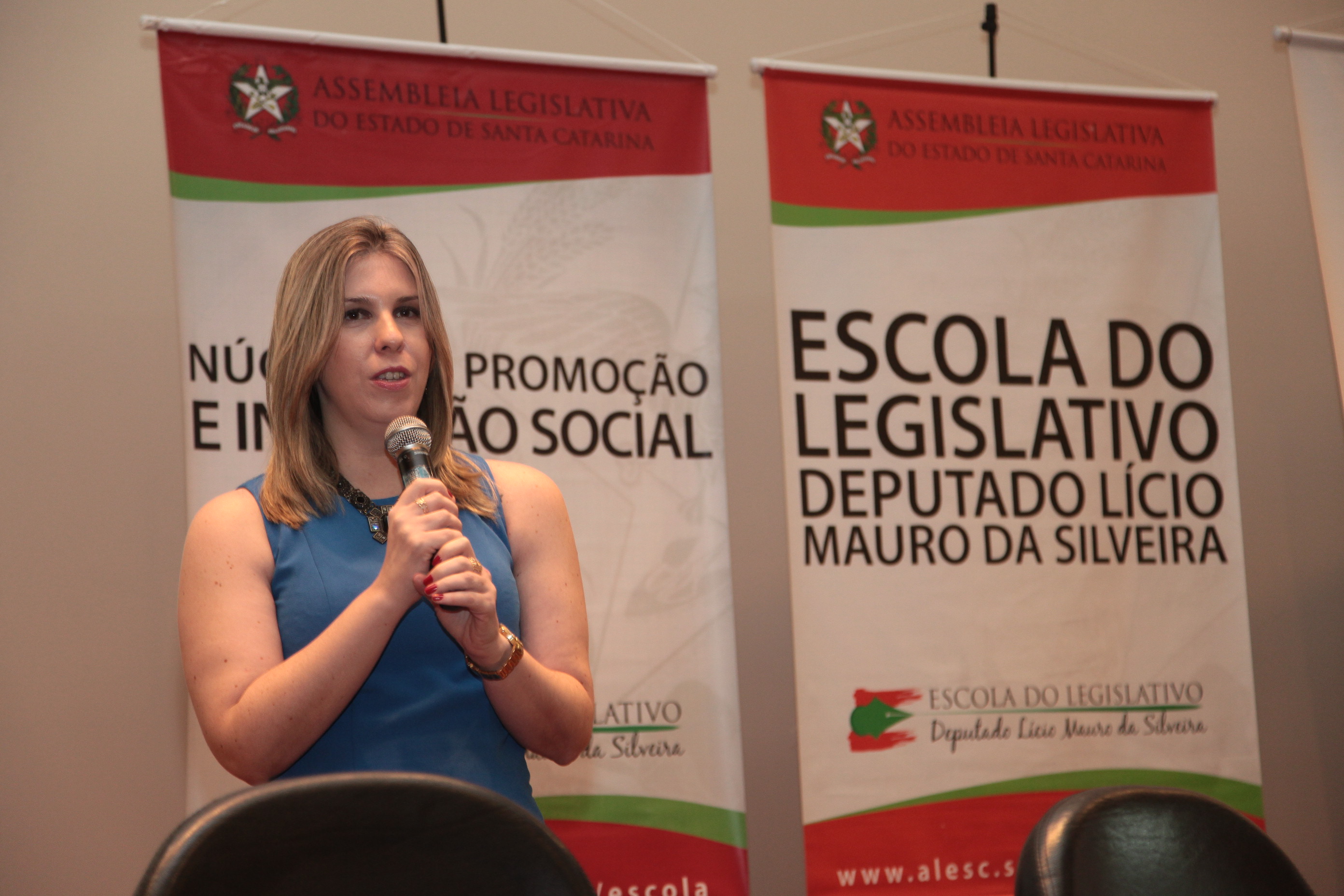 Clarissa Iser - diretora criativa da PROJETA. Seminário Captação de Recursos - Comissão de Defesa dos Direitos da Pessoa com Deficiência.
