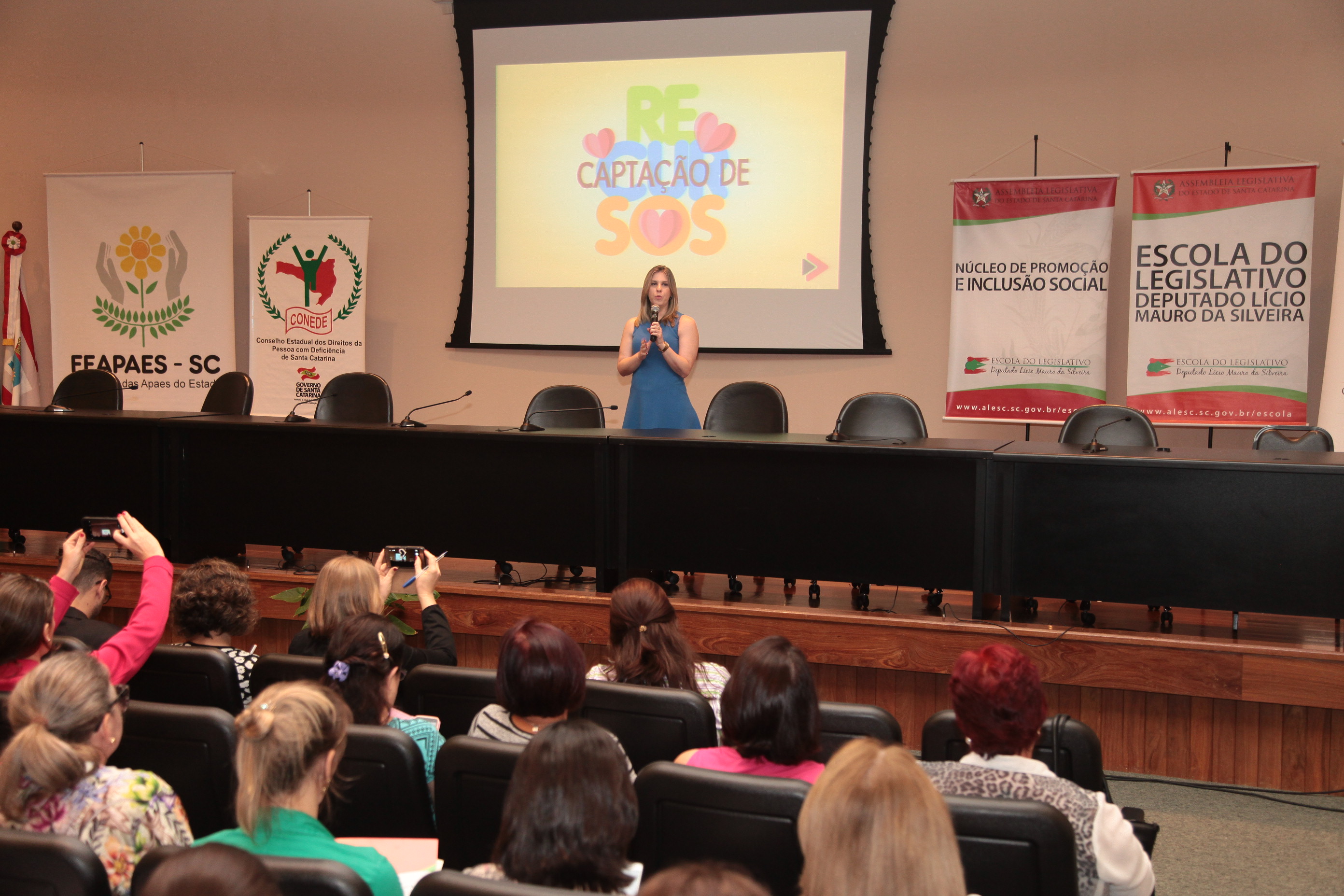 Clarissa Iser - diretora criativa da PROJETA. Seminário Captação de Recursos - Comissão de Defesa dos Direitos da Pessoa com Deficiência.
