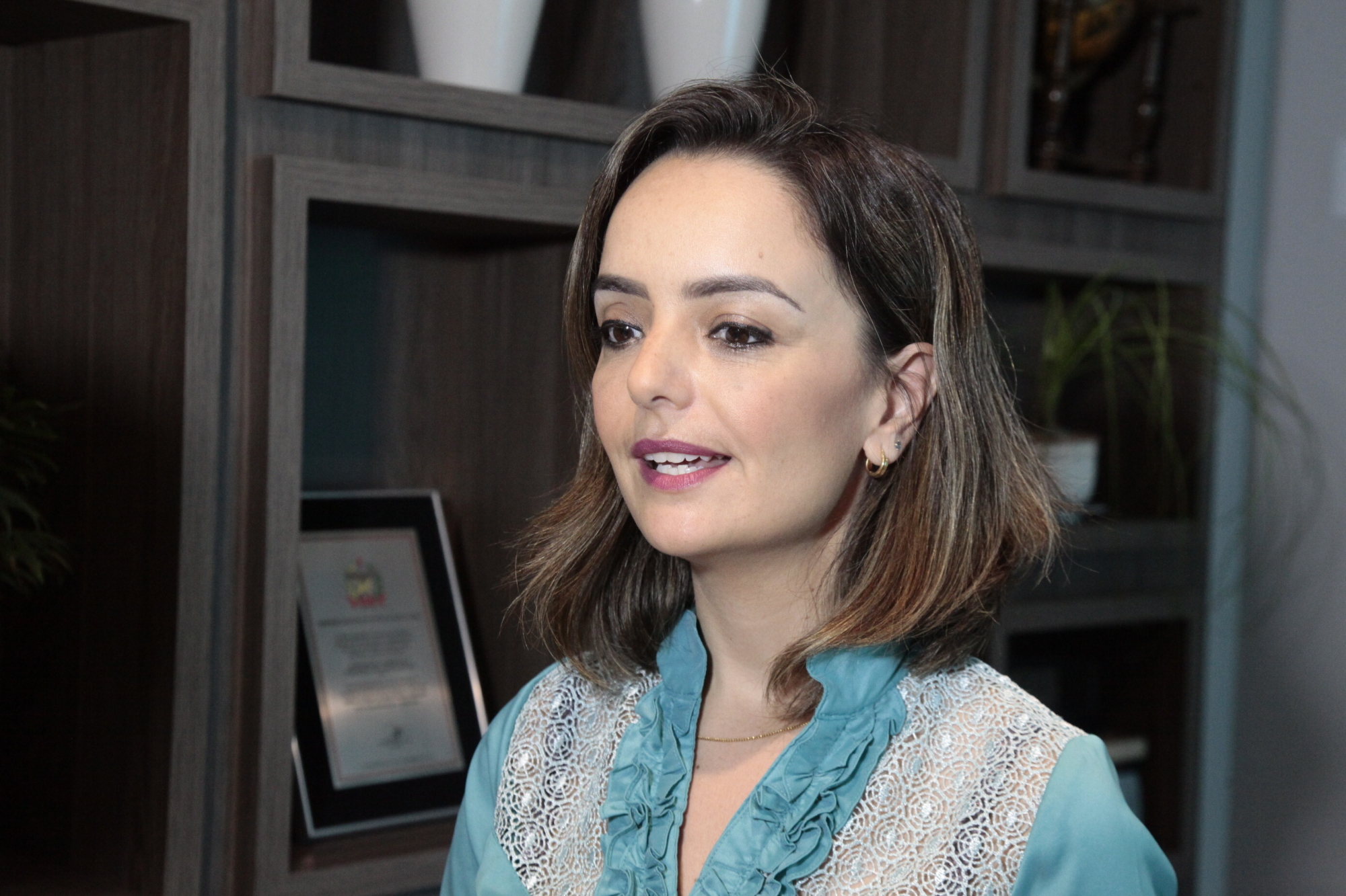 Fernanda Luchi, Coordenadora do Conselho Núcleo
