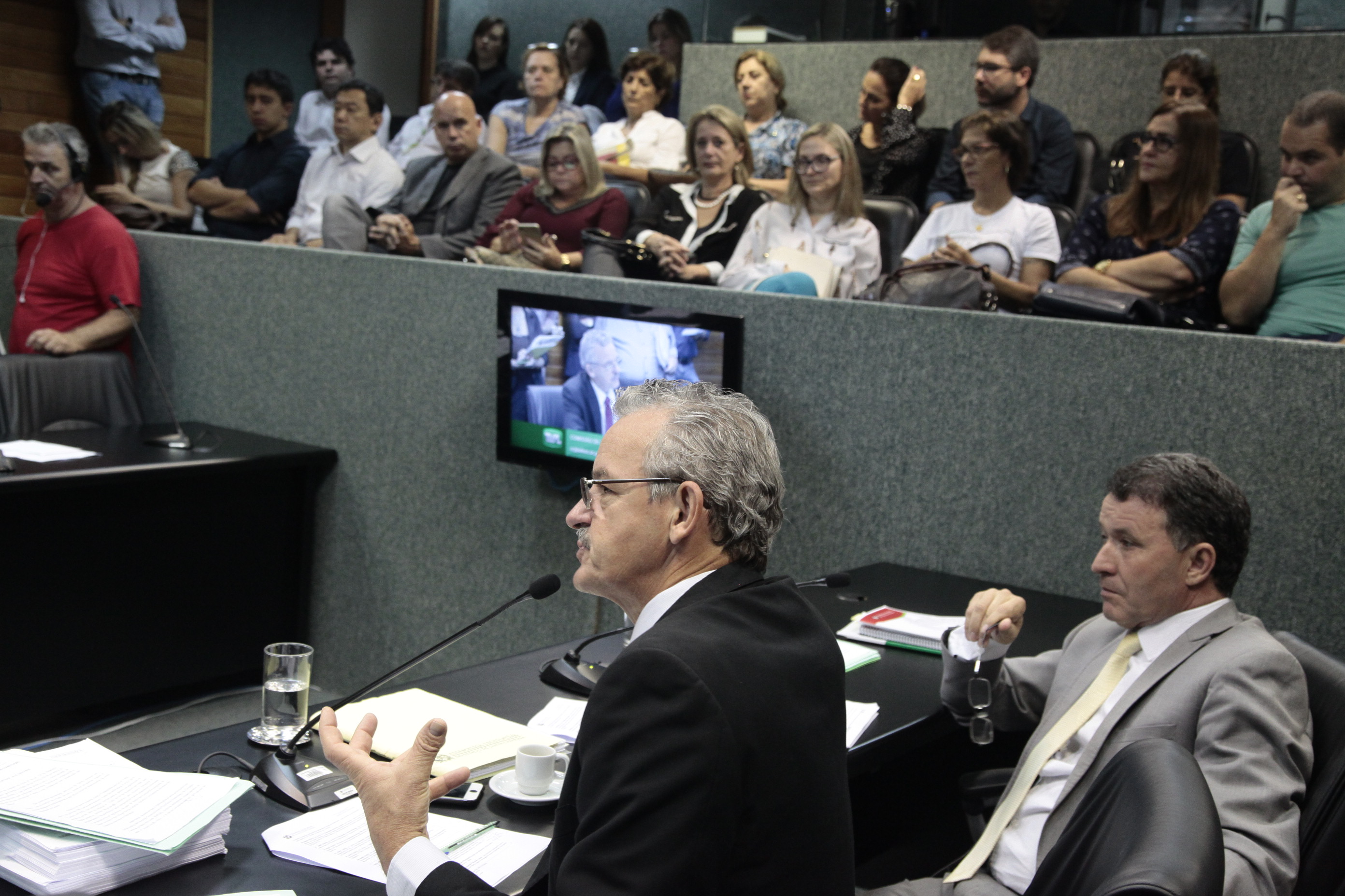 Comissão de Constituição e Justiça.