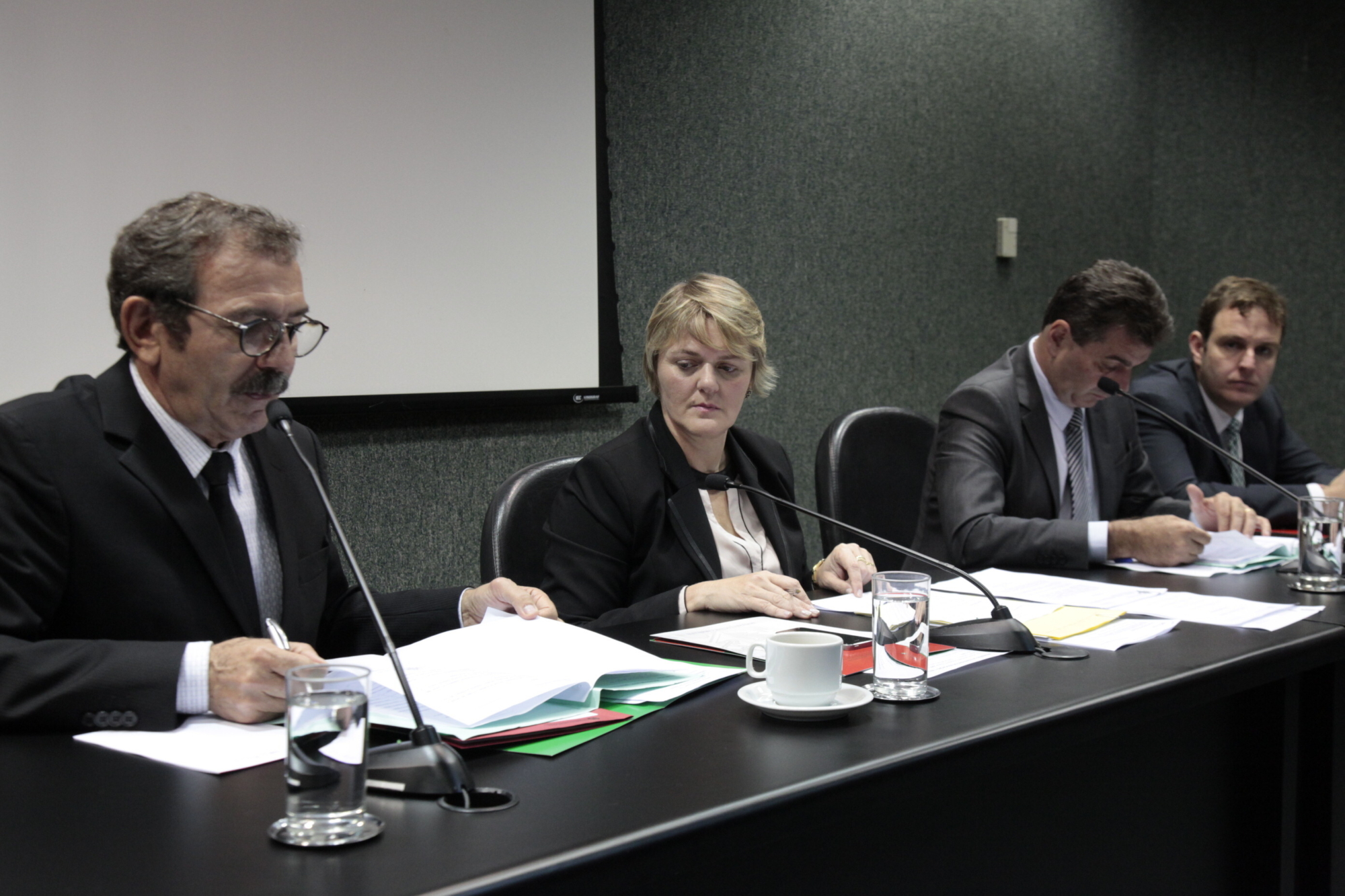 Comissão de Educação aprova realização de audiência pública sobre os Cedups