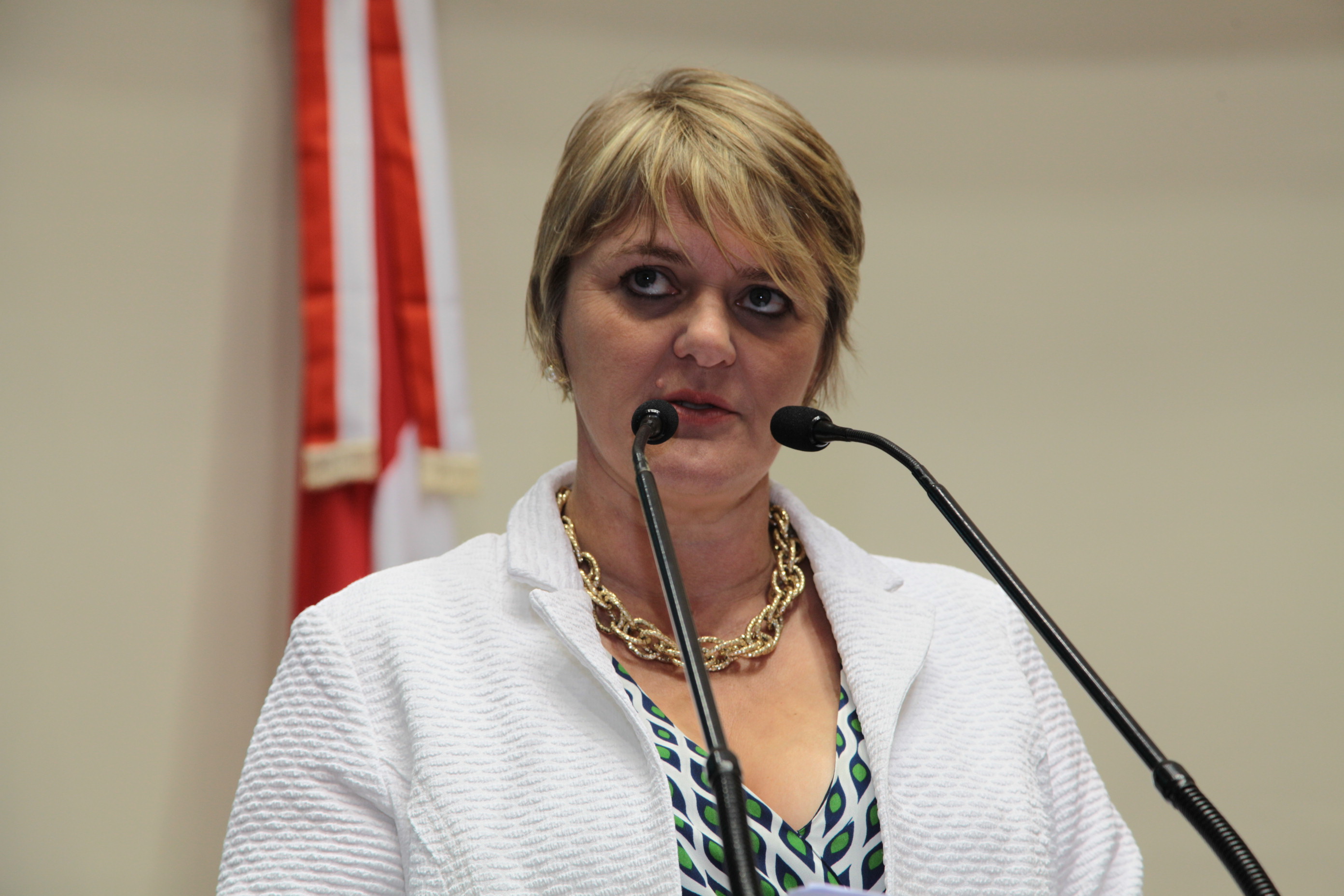 Sessão Ordinária. Deputada Luciane Carminatti (PT)