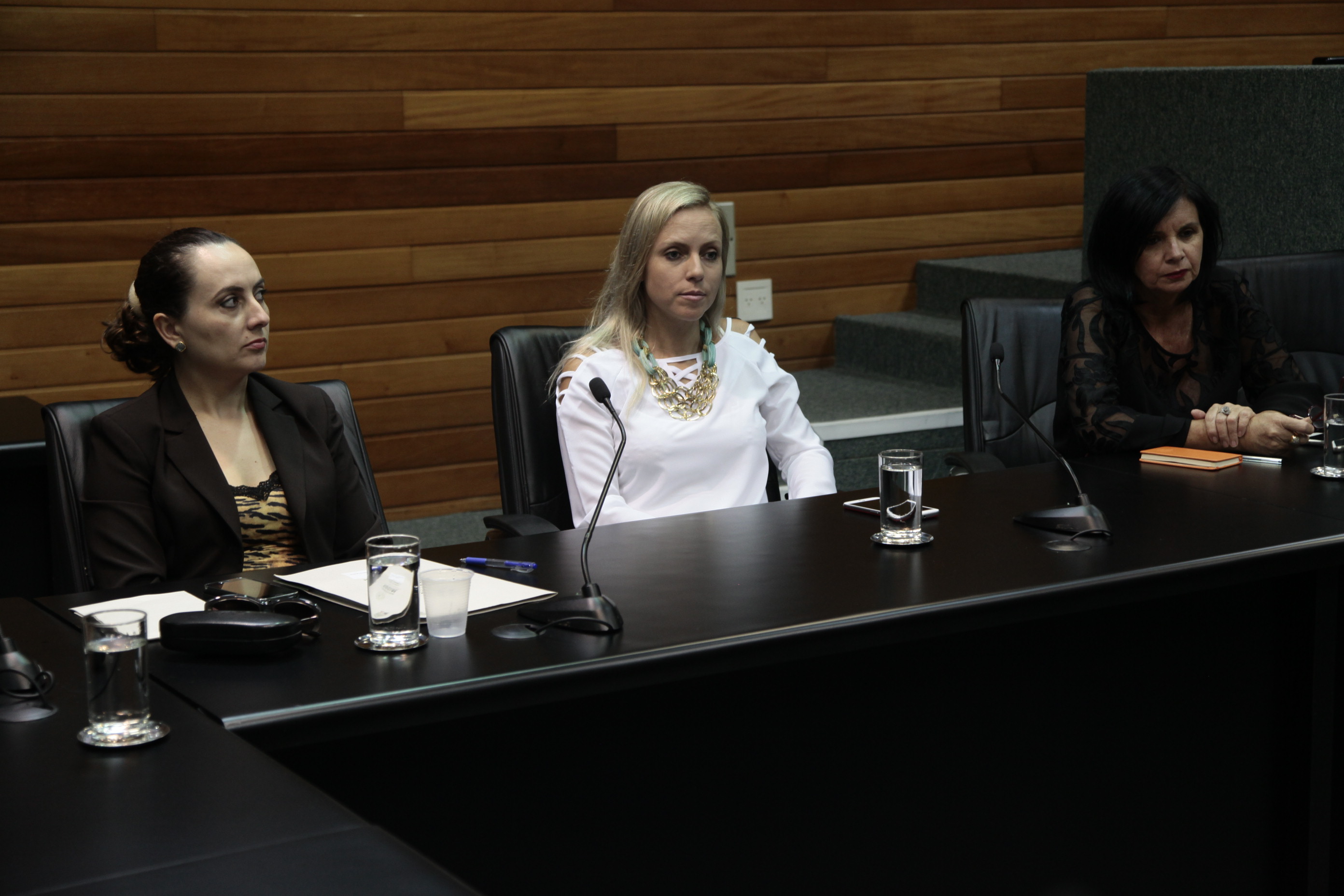 Reunião da Comissão de Responsabilidade Social.