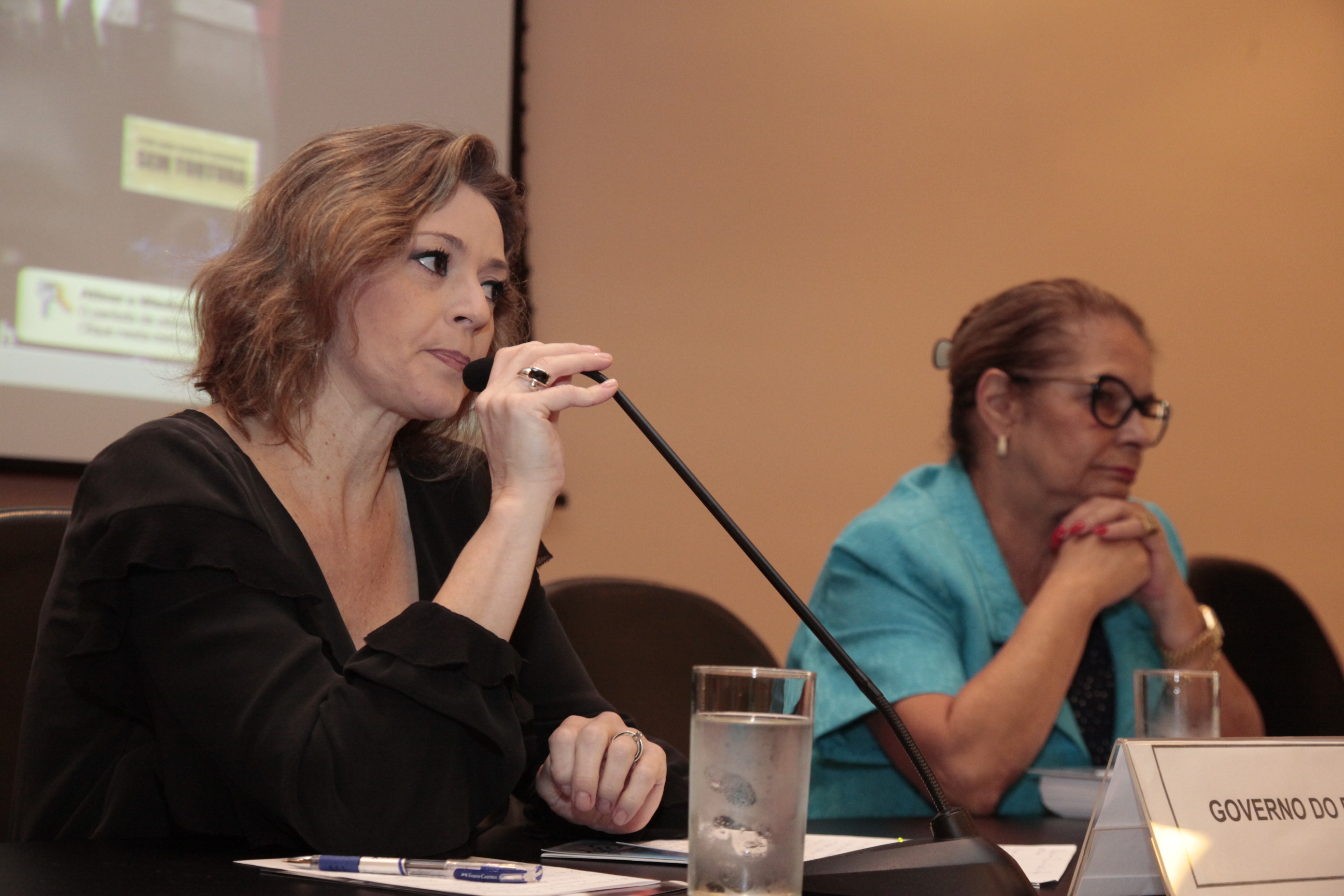 Seminário Estadual Direitos Humanos