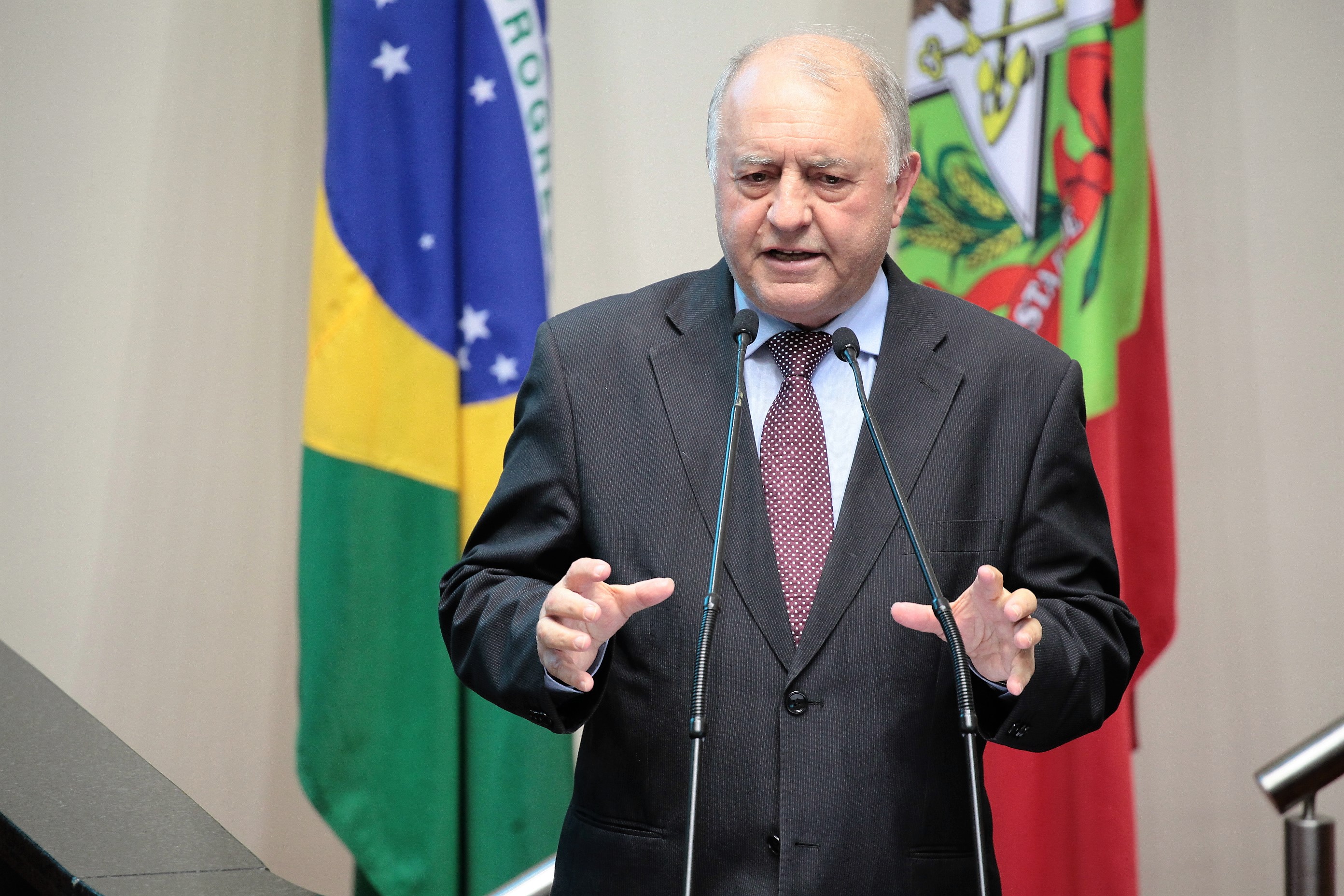Sessão Ordinária. Deputado Natalino Lázare (PR)