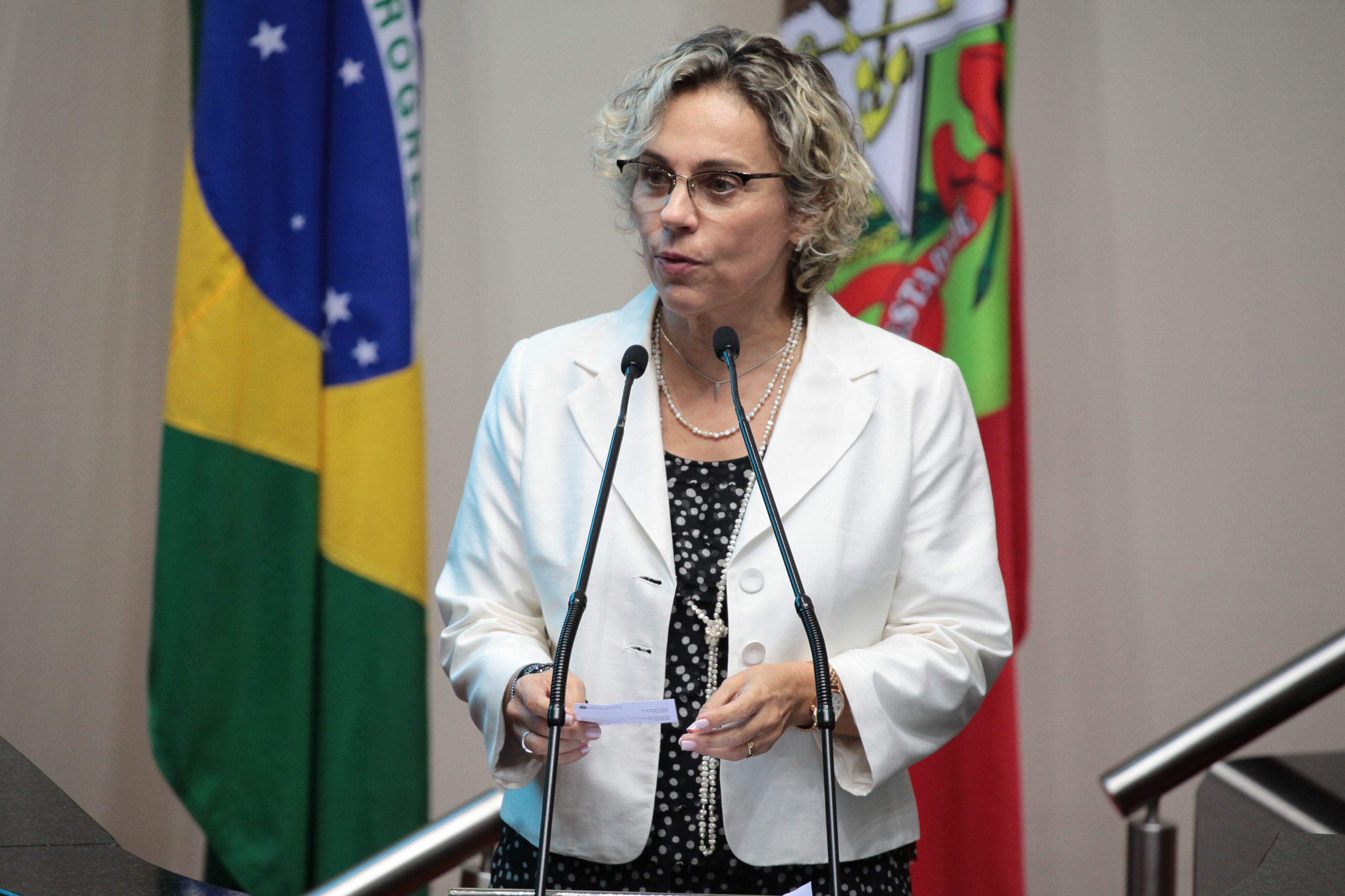 Sessão Ordinária. Deputada Ana Paula Lima (PT)