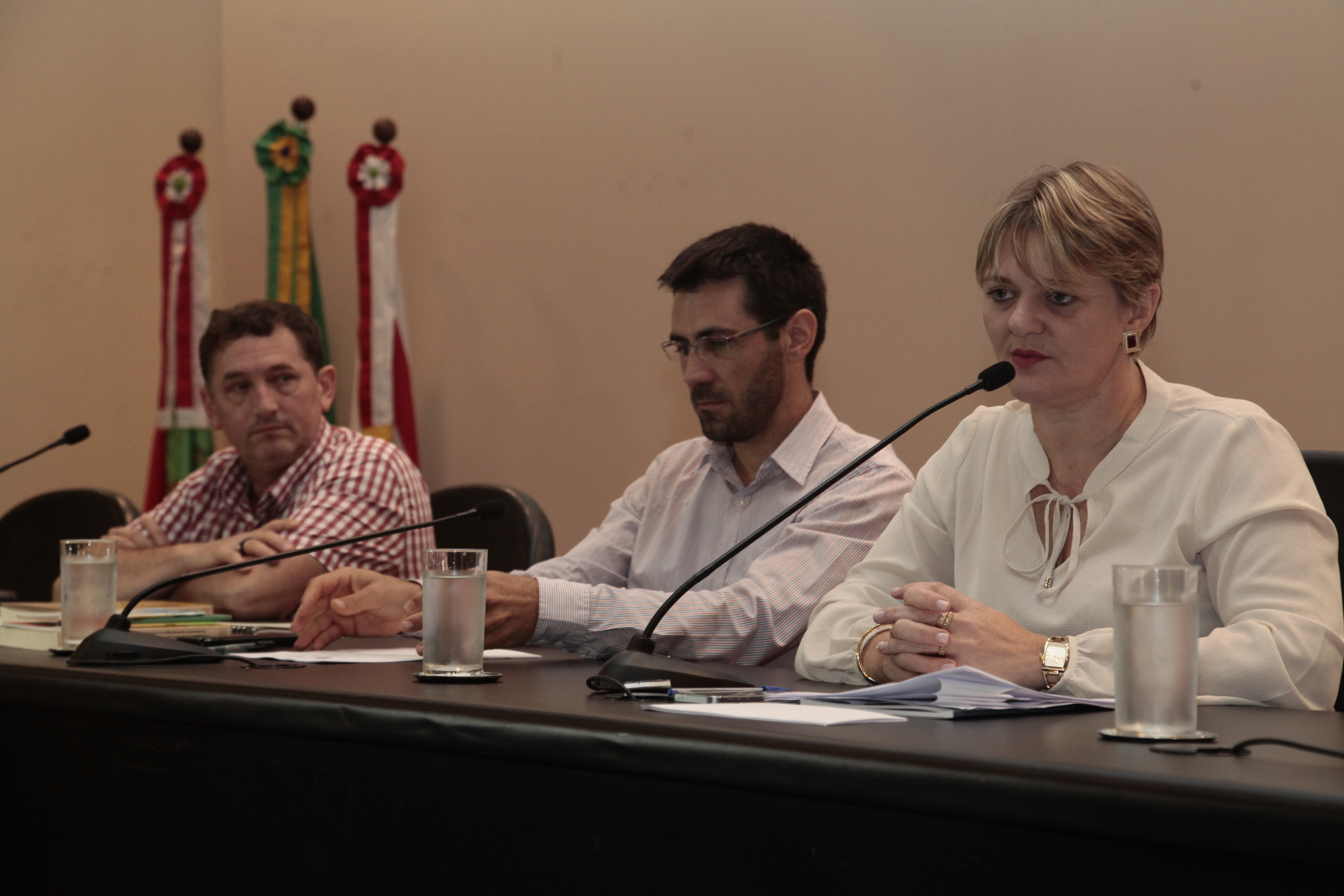 Audiência Pública - Ensino Religioso na Base Nacional Curricular.