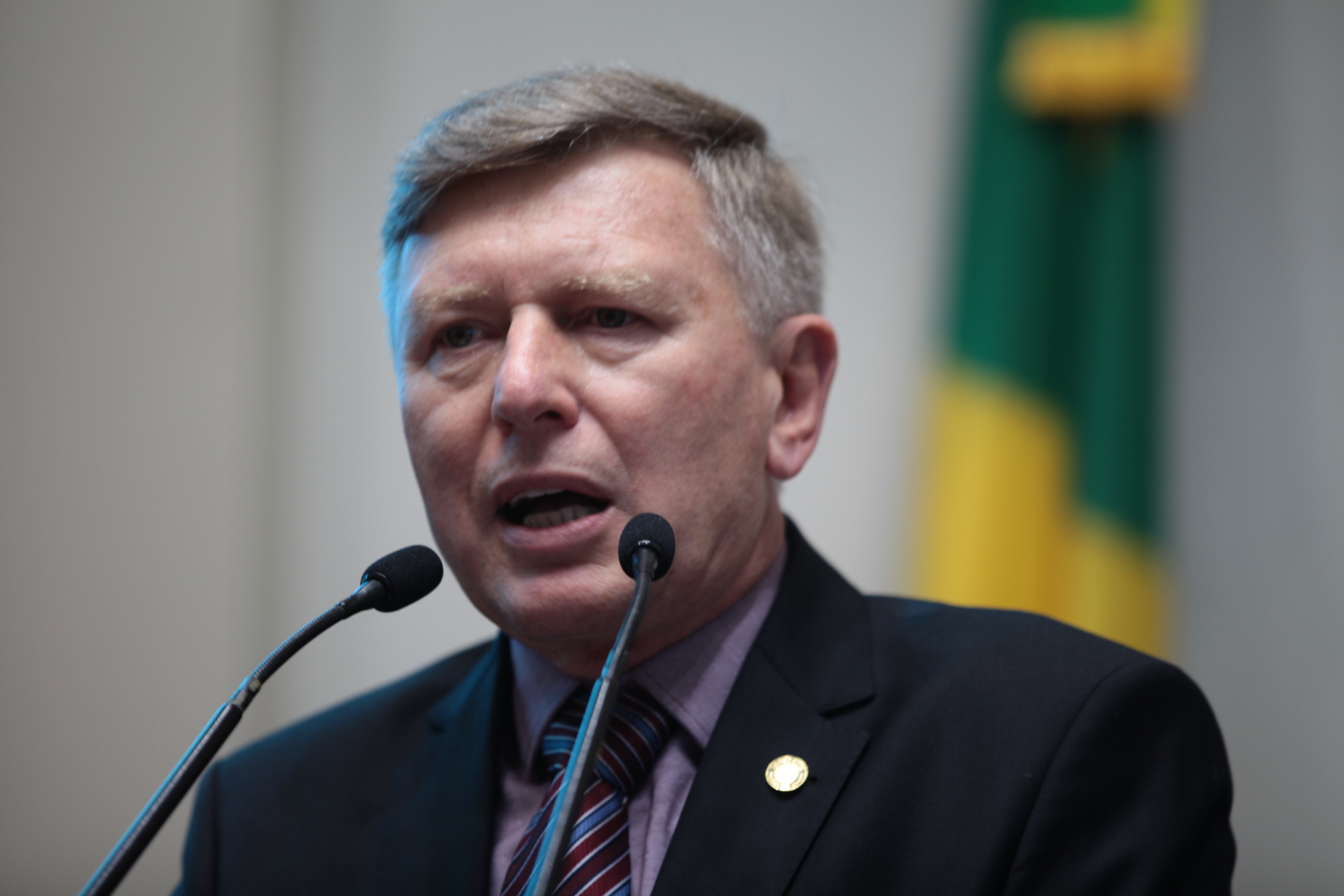 Sessão Plenária - Deputado Milton Hobus (PSD)