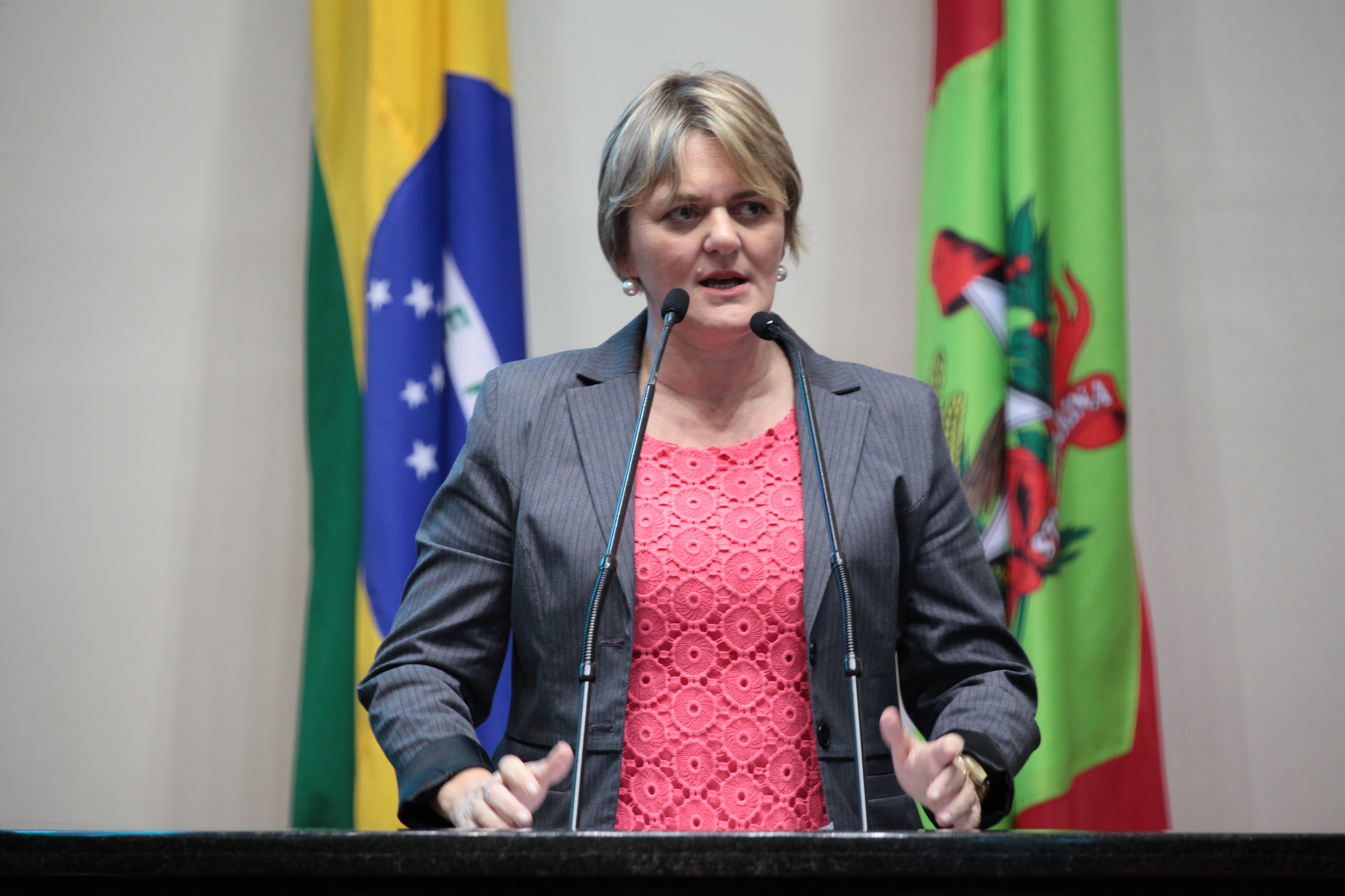 Sessão Ordinária. Deputada Luciane Carminatti (PT)