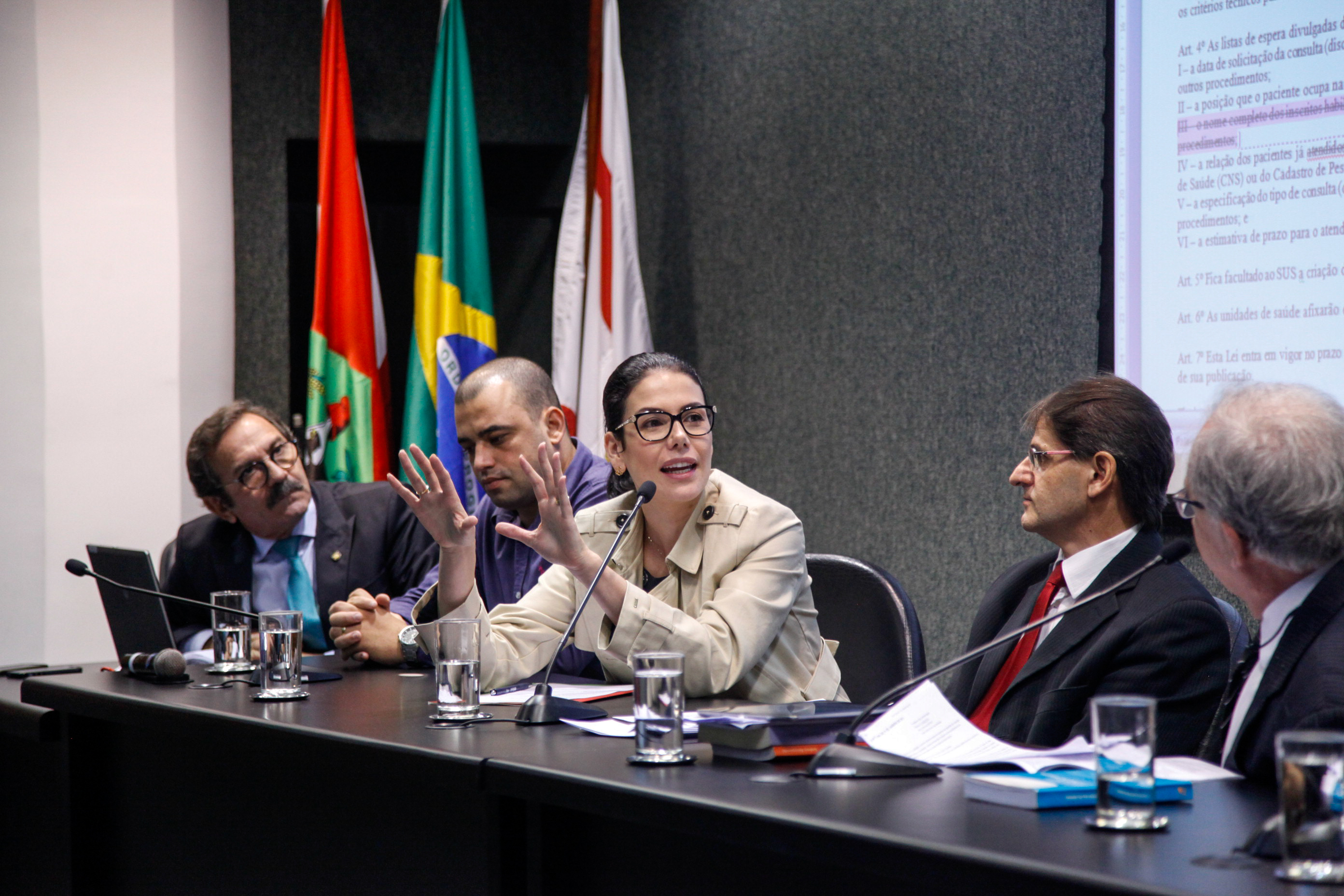 Comissão de Saúde Promove Audiência Pública Sobre a Divulgação na Internet da Lista de Atendimento do SUS.
