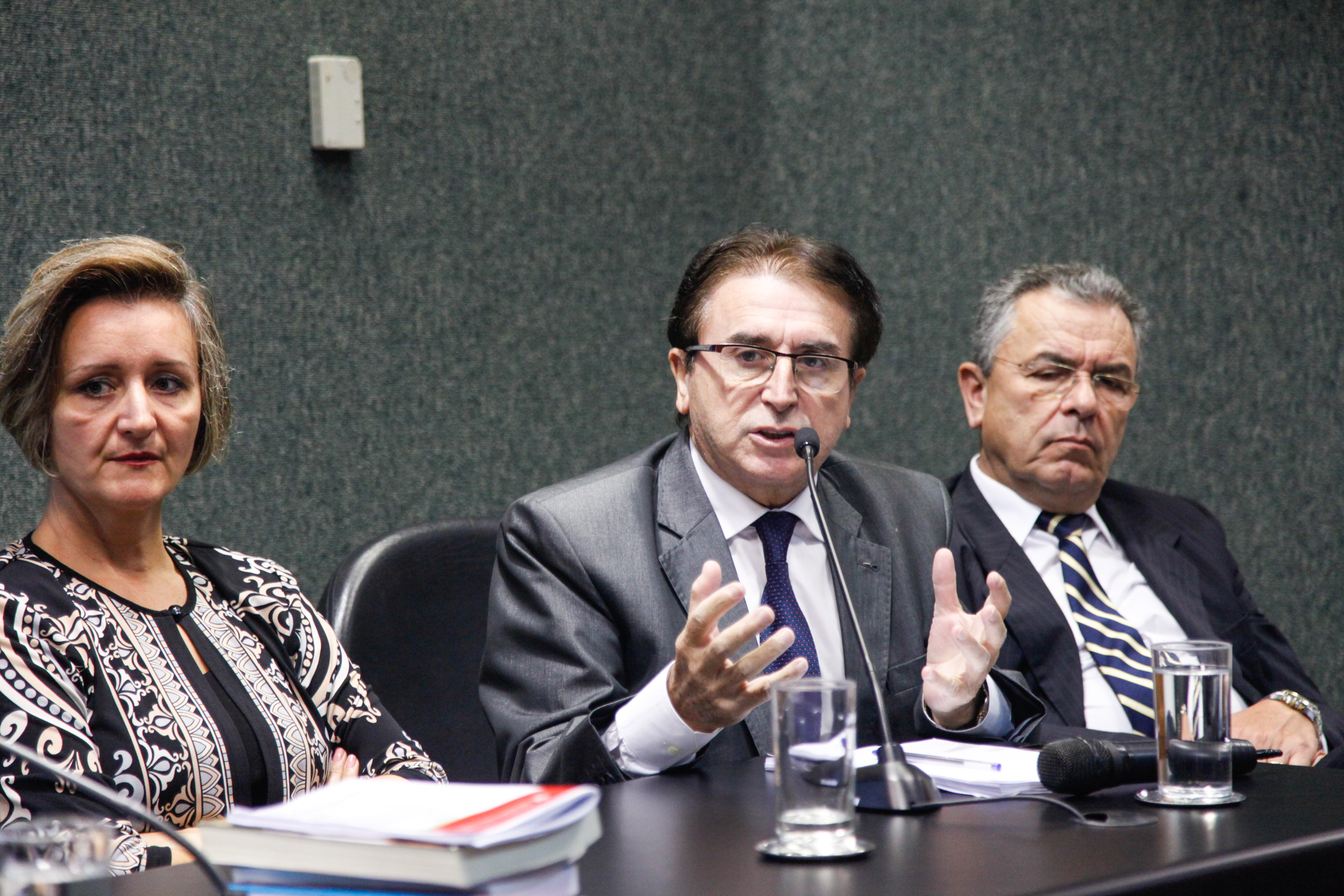 Comissão de Saúde Promove Audiência Pública Sobre a Divulgação na Internet da Lista de Atendimento do SUS.