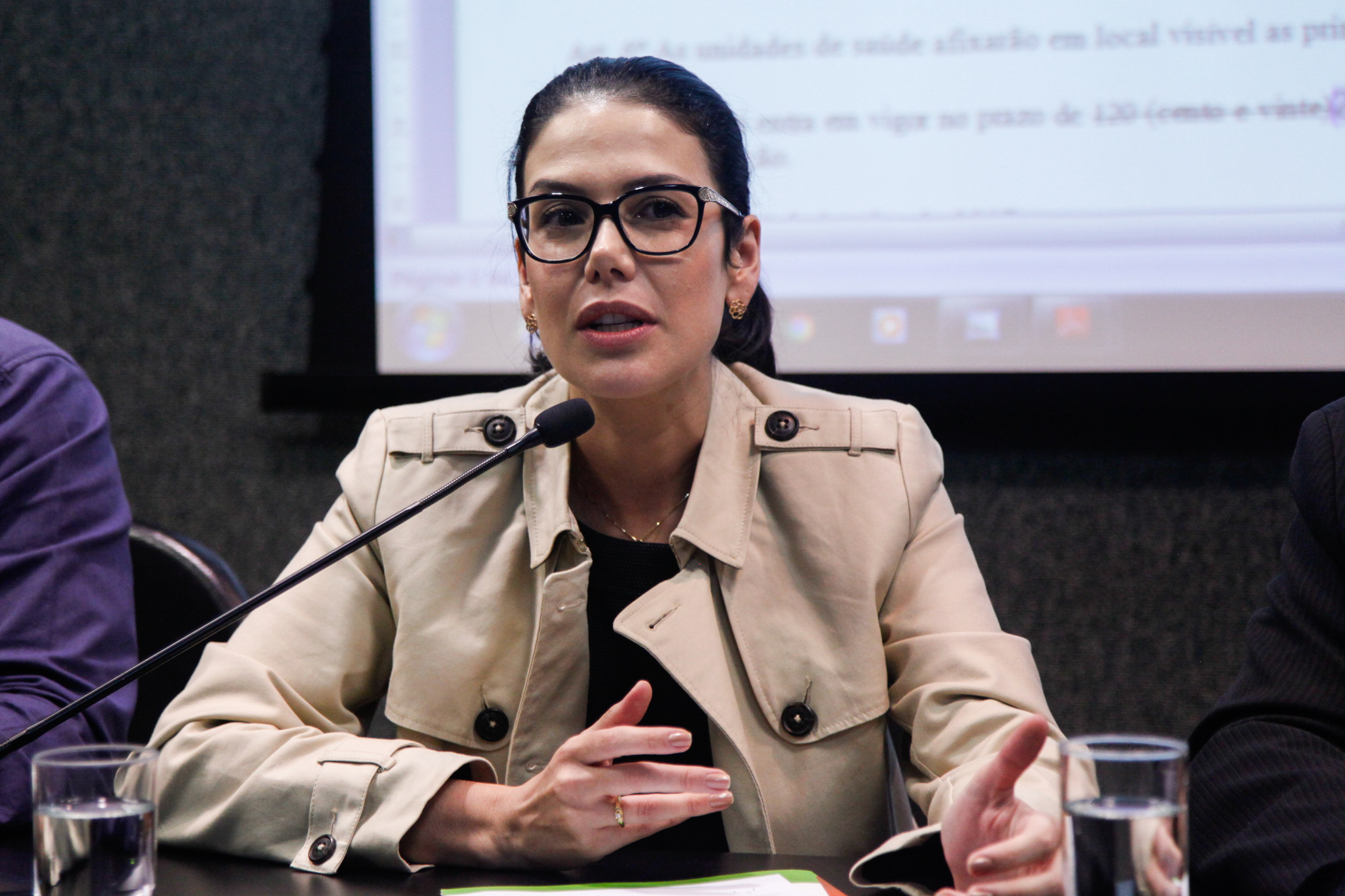 Comissão de Saúde Promove Audiência Pública Sobre a Divulgação na Internet da Lista de Atendimento do SUS.