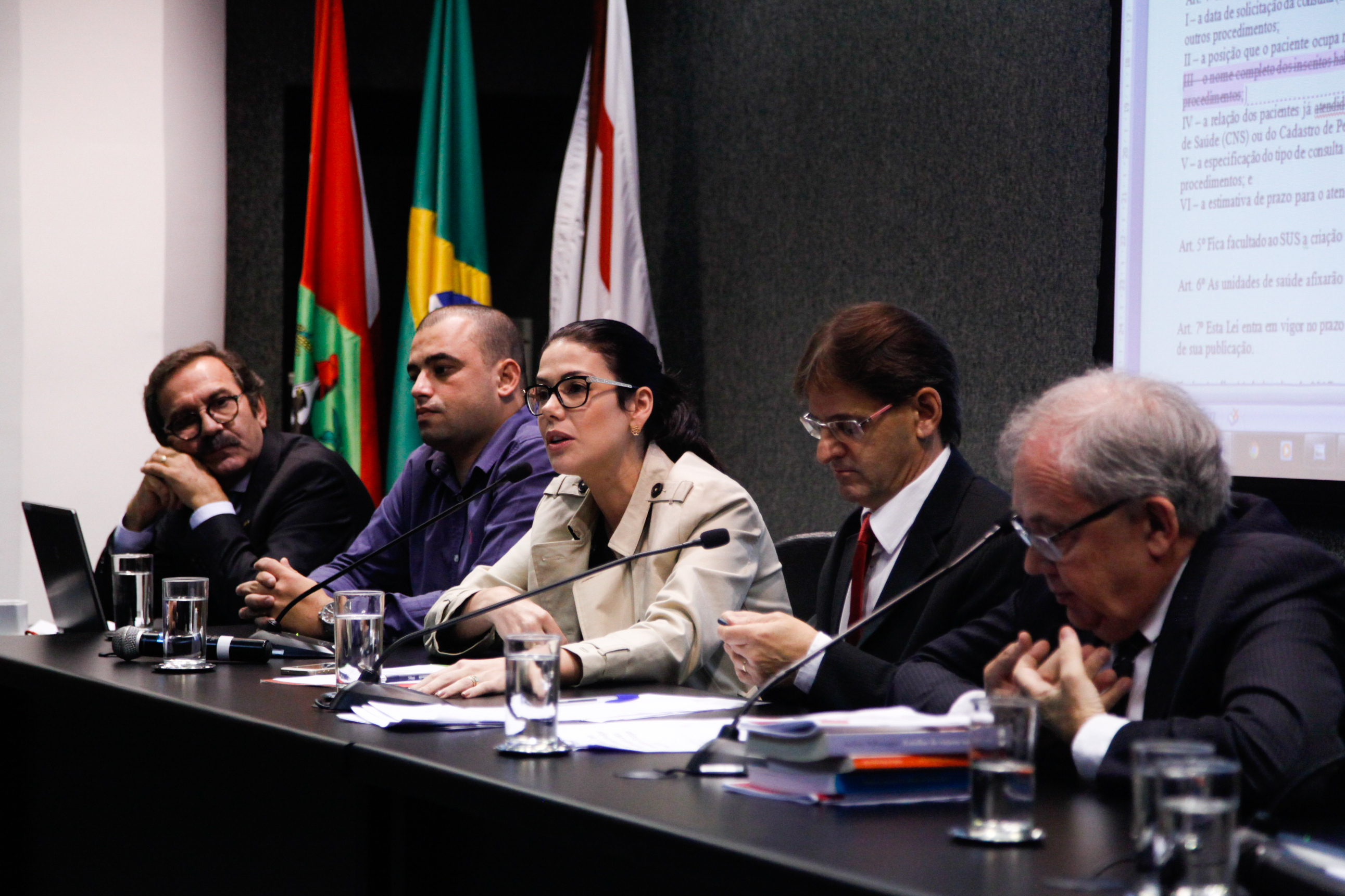 Comissão de Saúde Promove Audiência Pública Sobre a Divulgação na Internet da Lista de Atendimento do SUS.