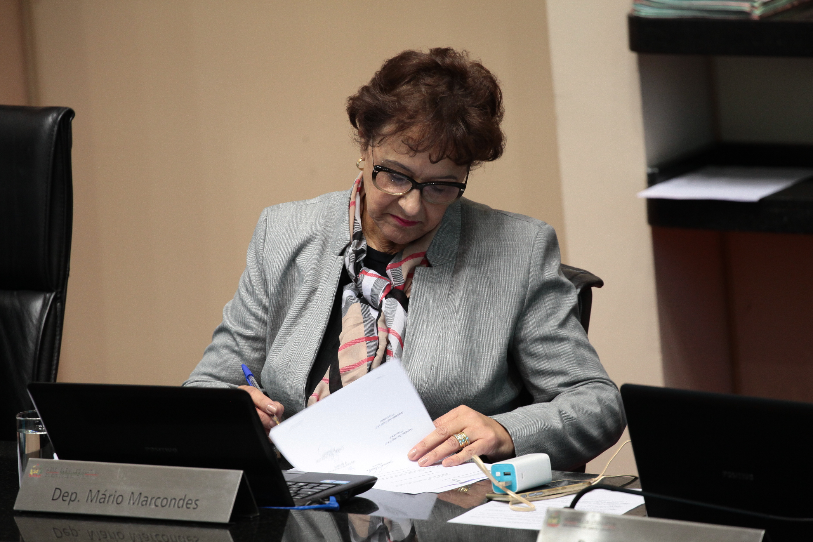 Sessão Ordinária. Deputada Dirce Heiderscheidt (PMDB). Foto: Miriam Zomer