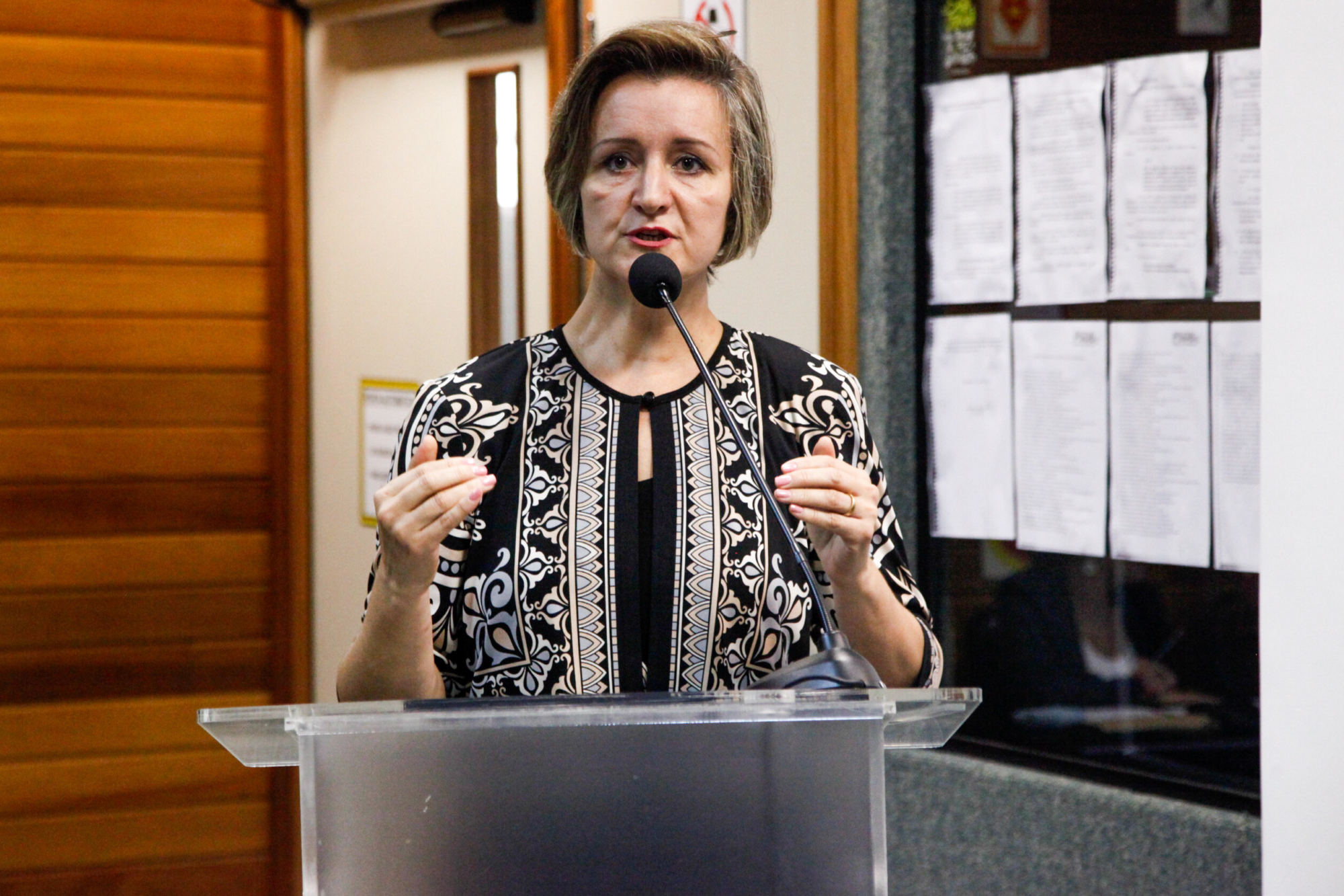 Karin Leopoldo, superintendente de Serviços Especializados e Regulação da Secretaria de Estado da Saúde
