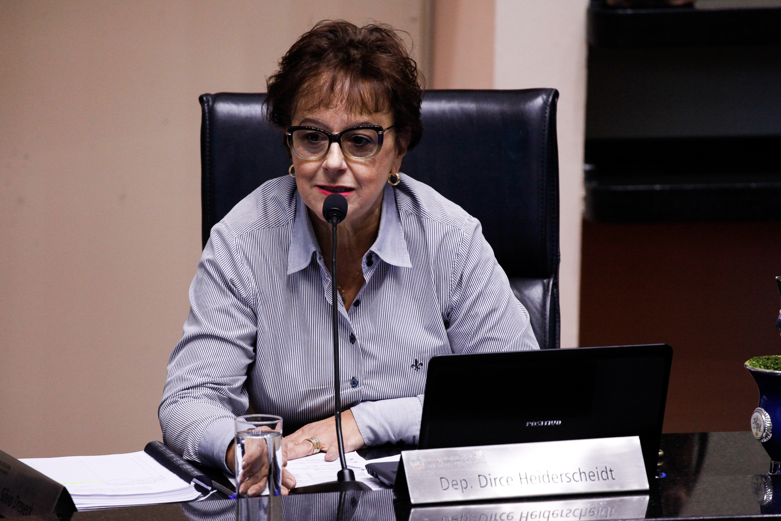 Deputada Dirce Heiderscheidt (PMDB). Sessão Ordinária.