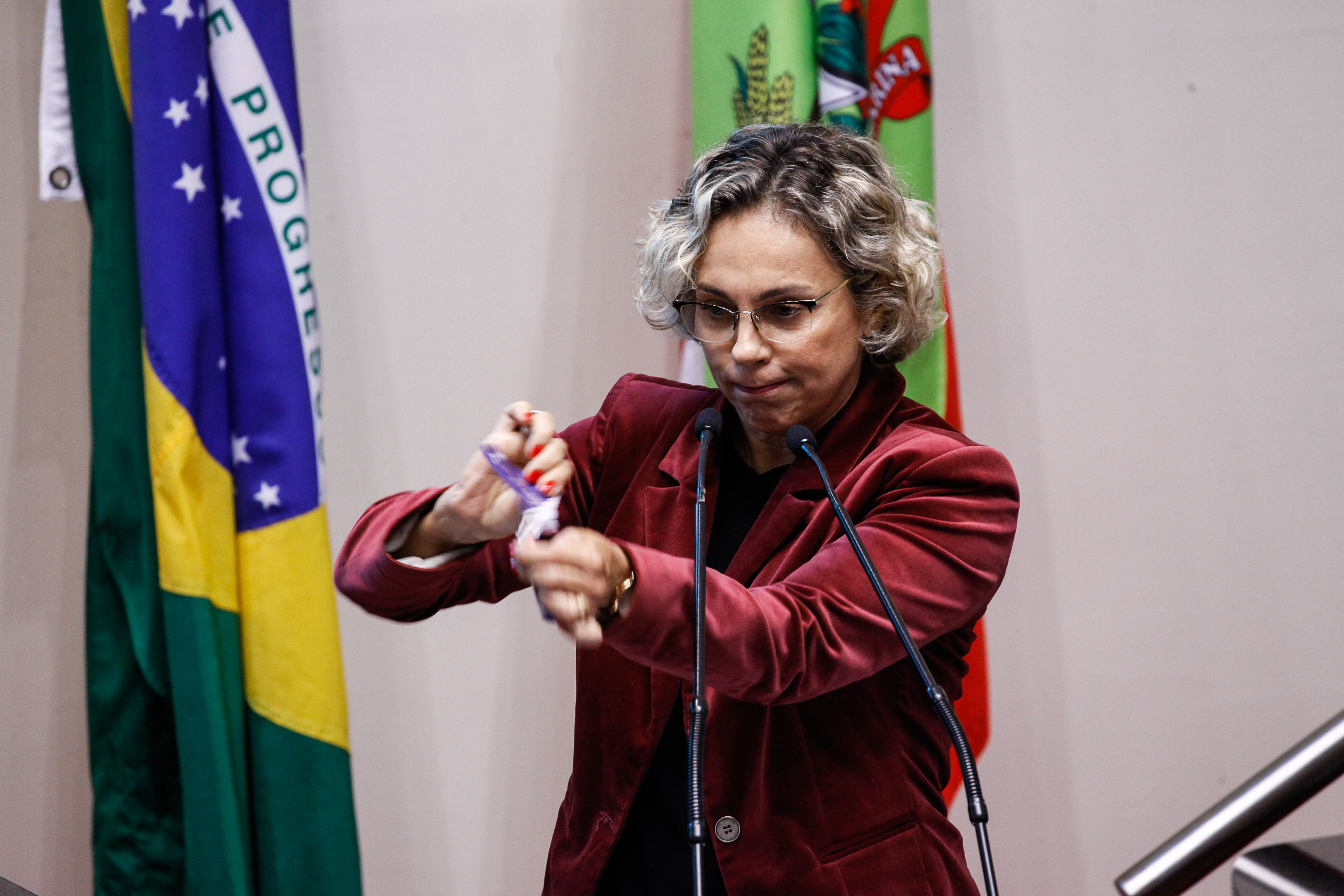 Deputada Ana Paula Lima (PT). Sessão Ordinária.