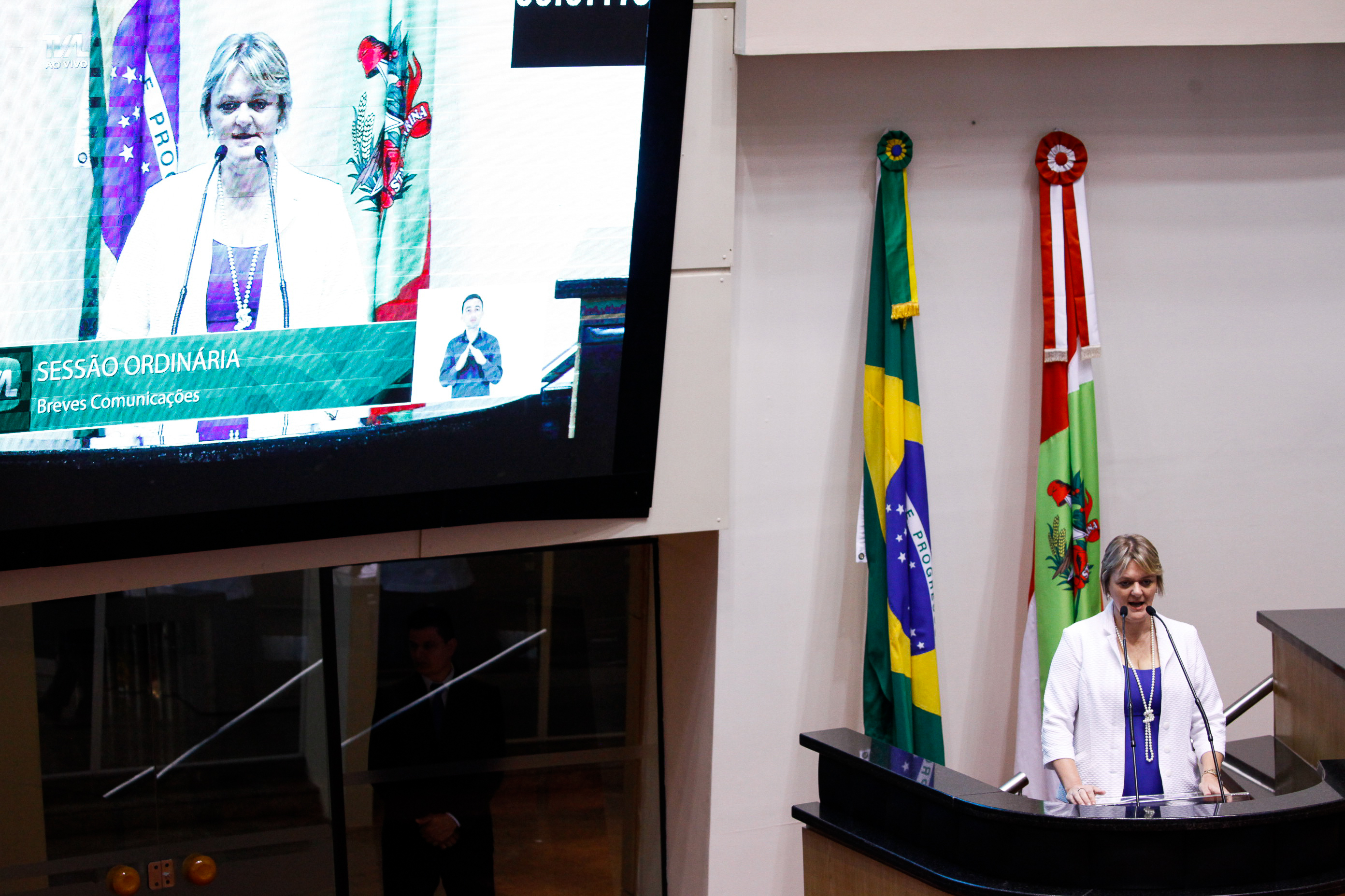 Deputada Luciane Carminatti (PT). Sessão Ordinária.