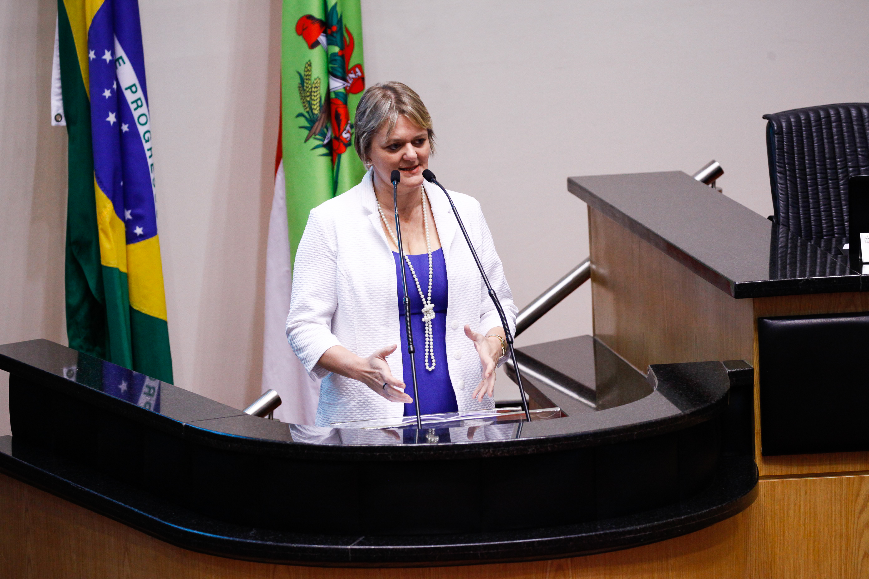 Deputada Luciane Carminatti (PT). Sessão Ordinária.