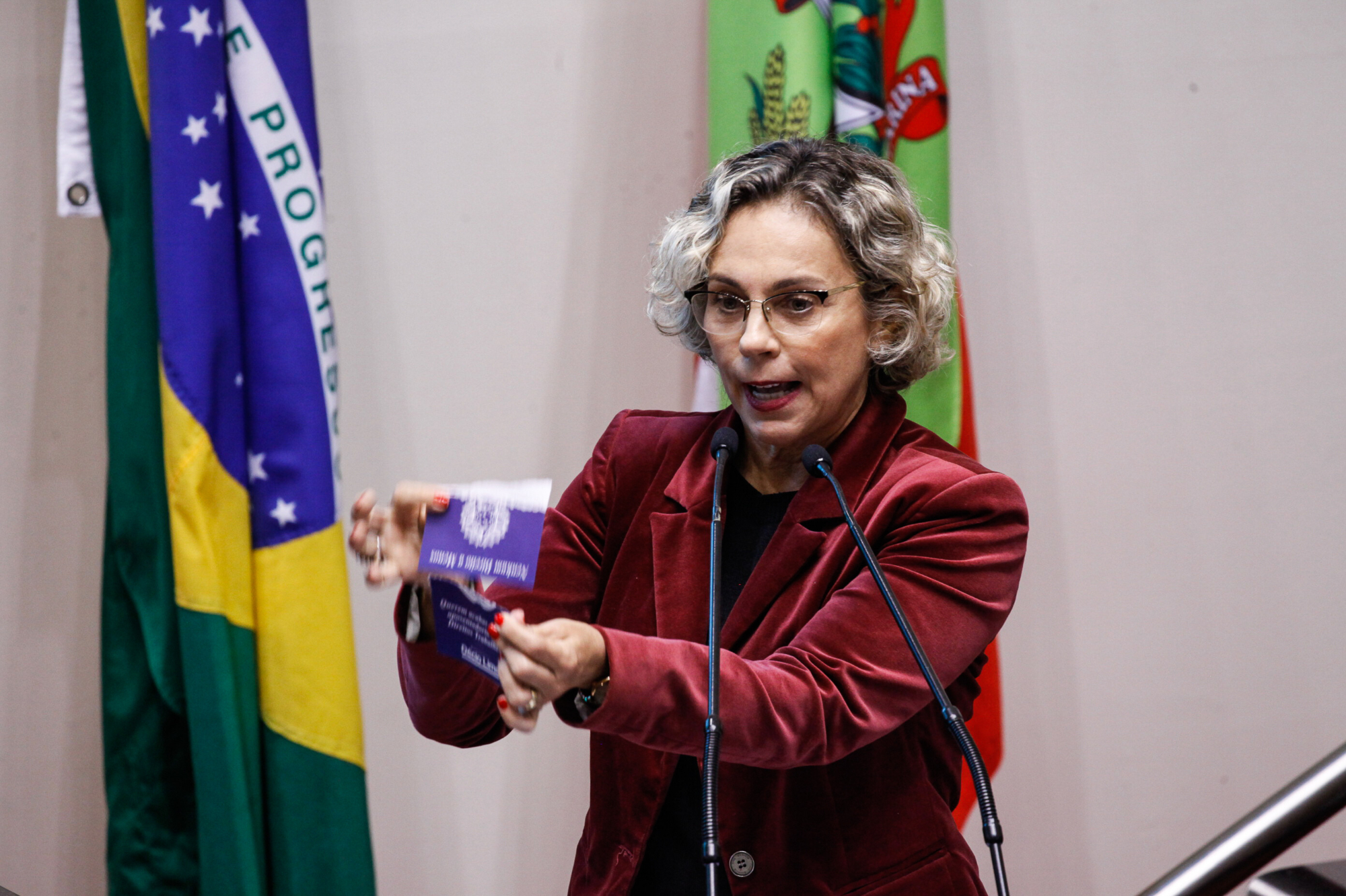 Ana Paula disse que Congresso rasgou, ontem, a carteira de trabalho