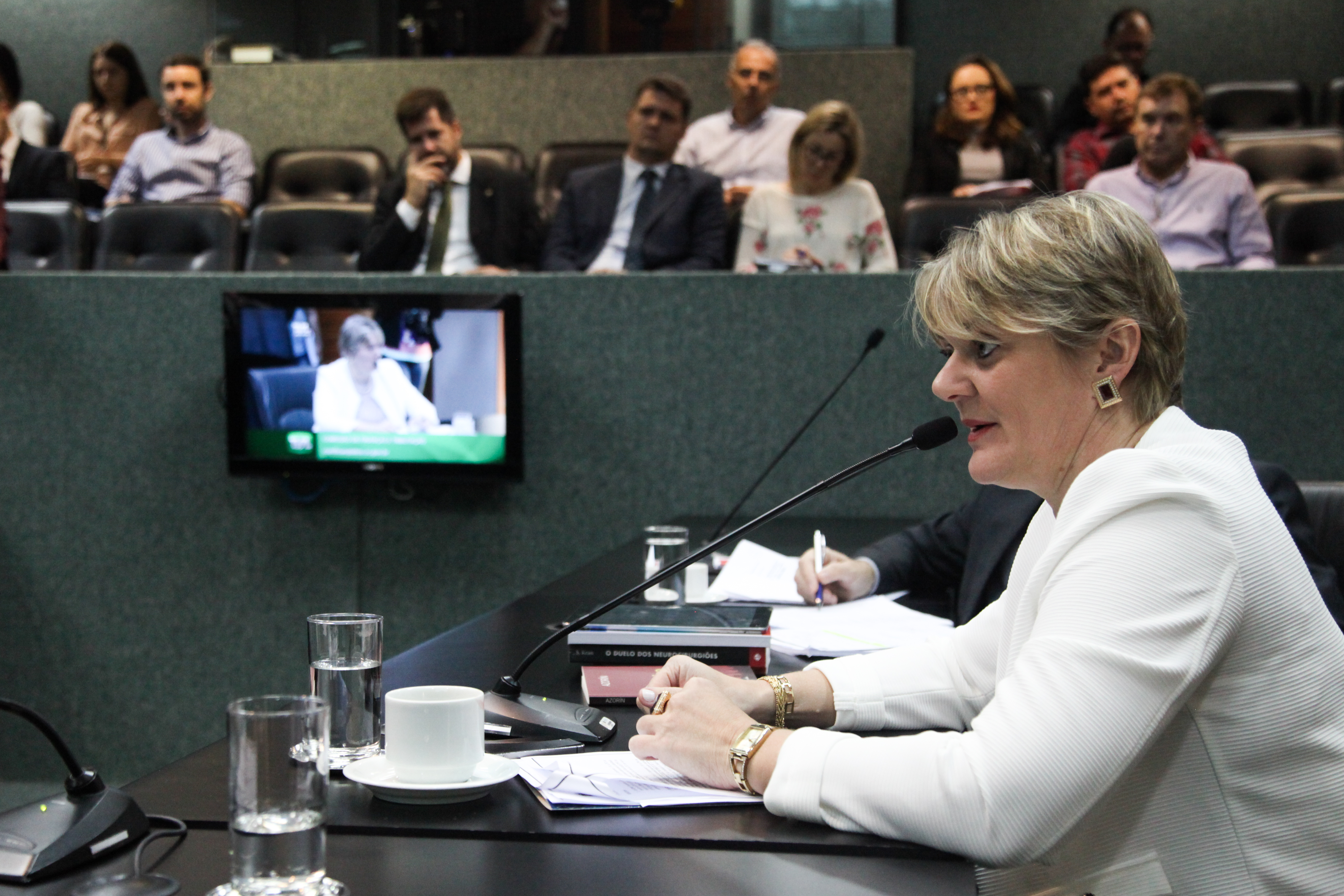 Deputada Luciane Carminatti (PT). Comissão de Finanças e Tributação.